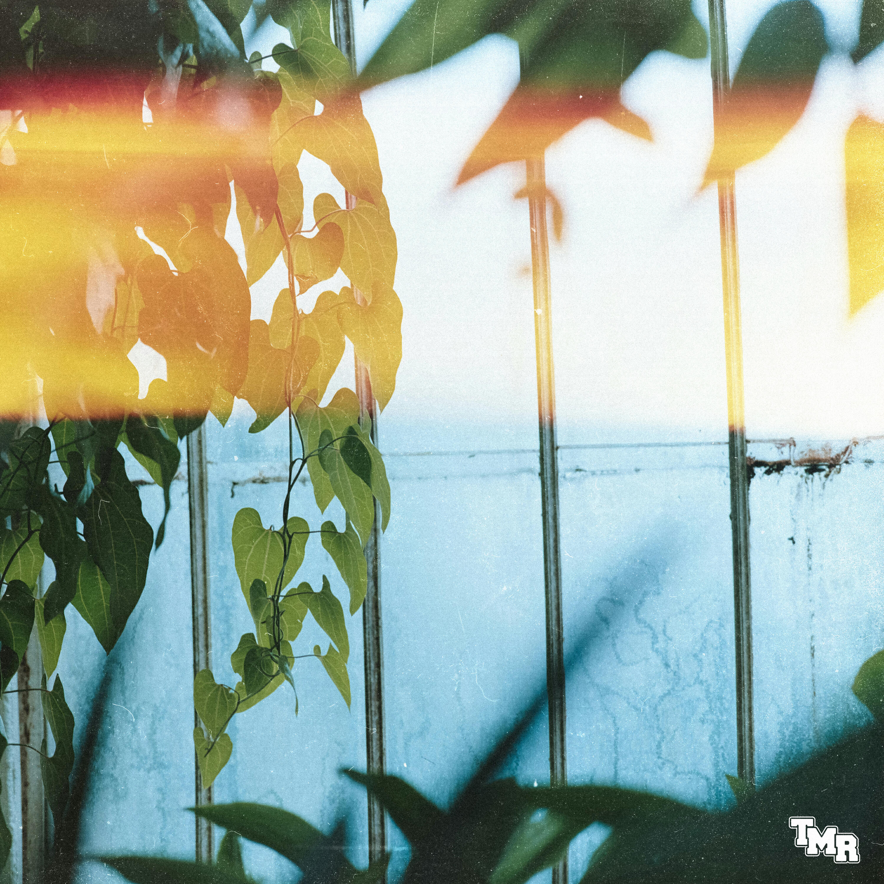 Релиз flare.