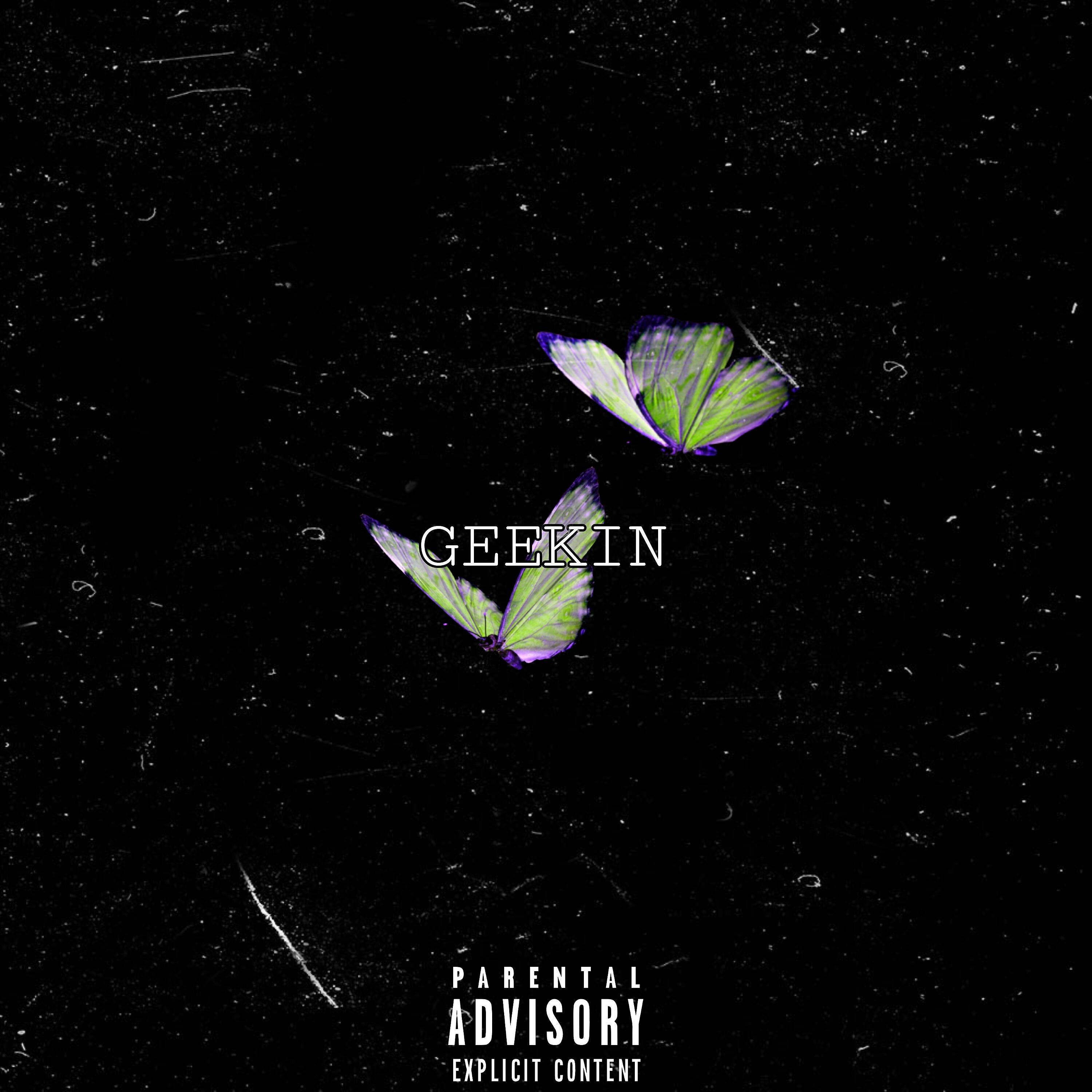Релиз Geekin