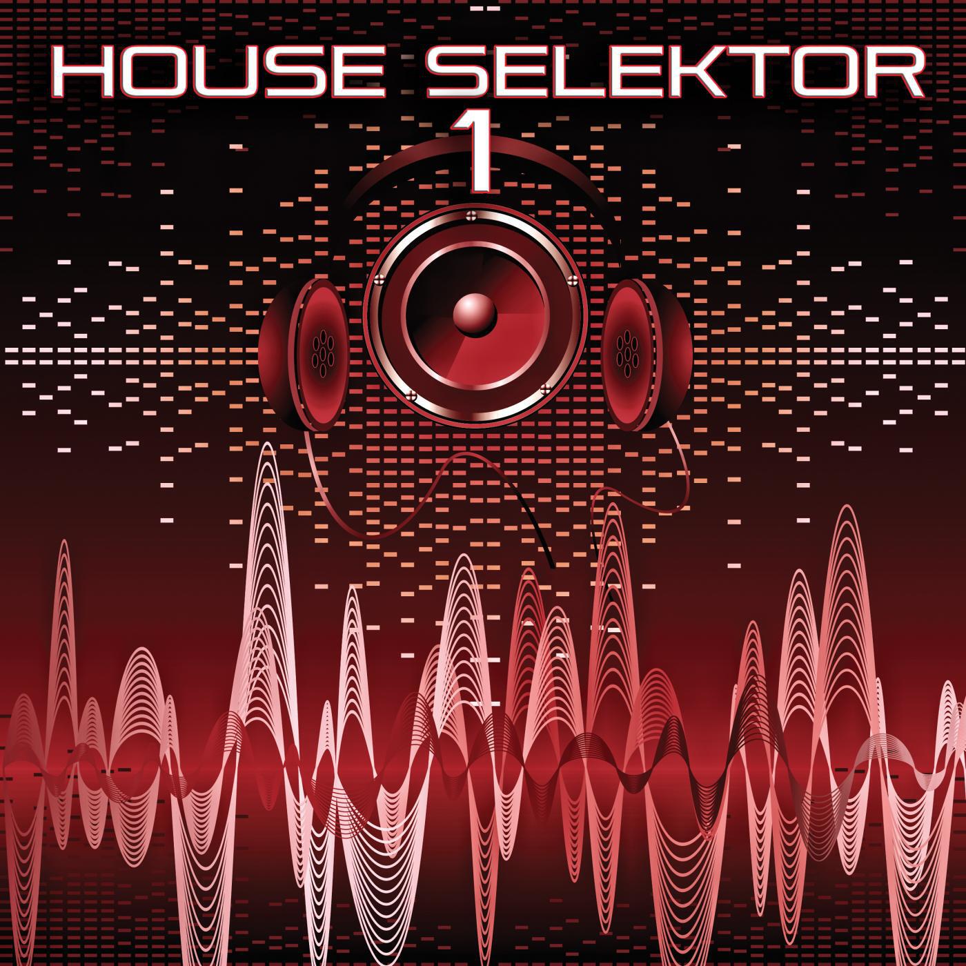 Релиз House Selektor, 2