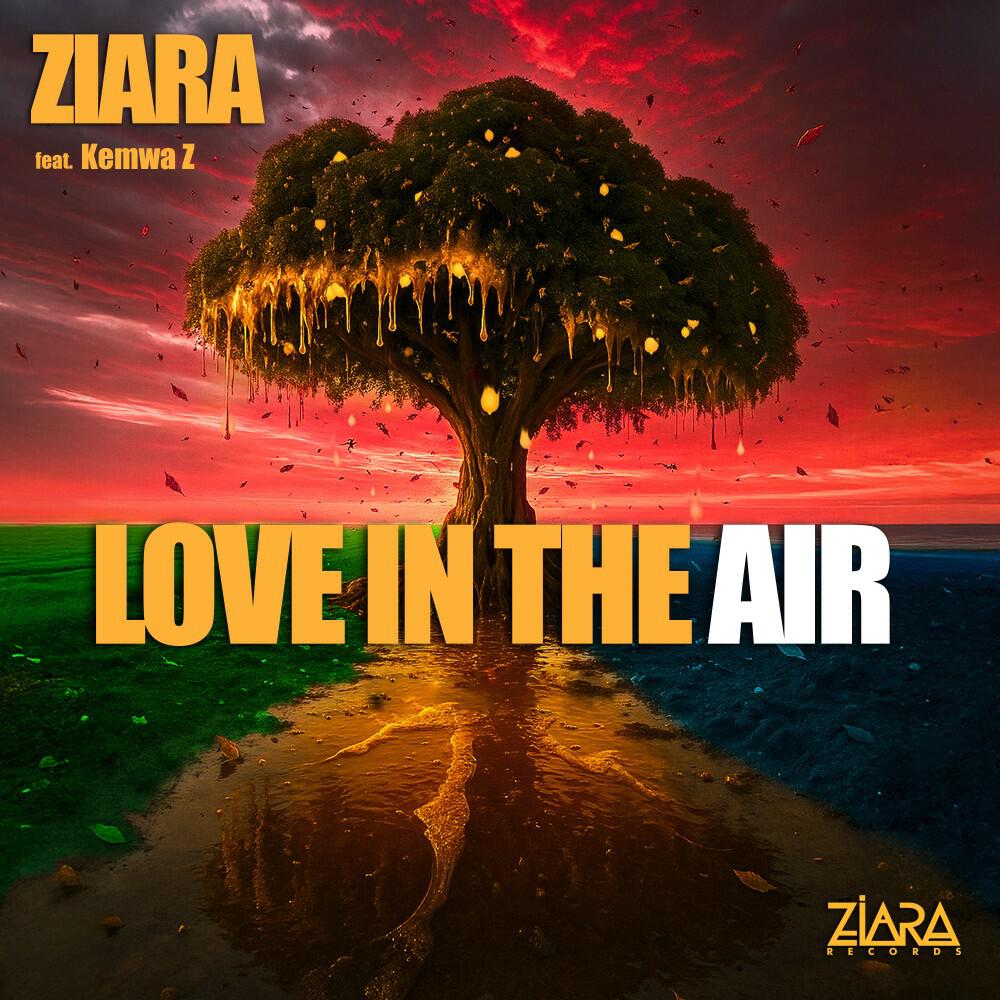 Ziara