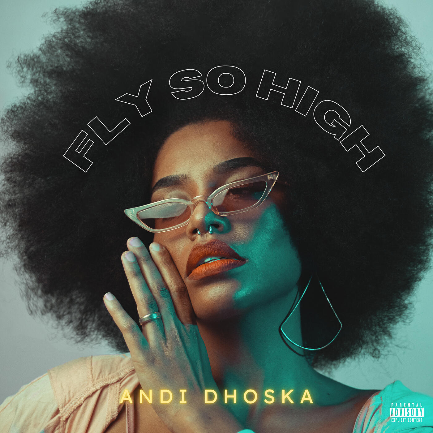 Релиз Fly so High