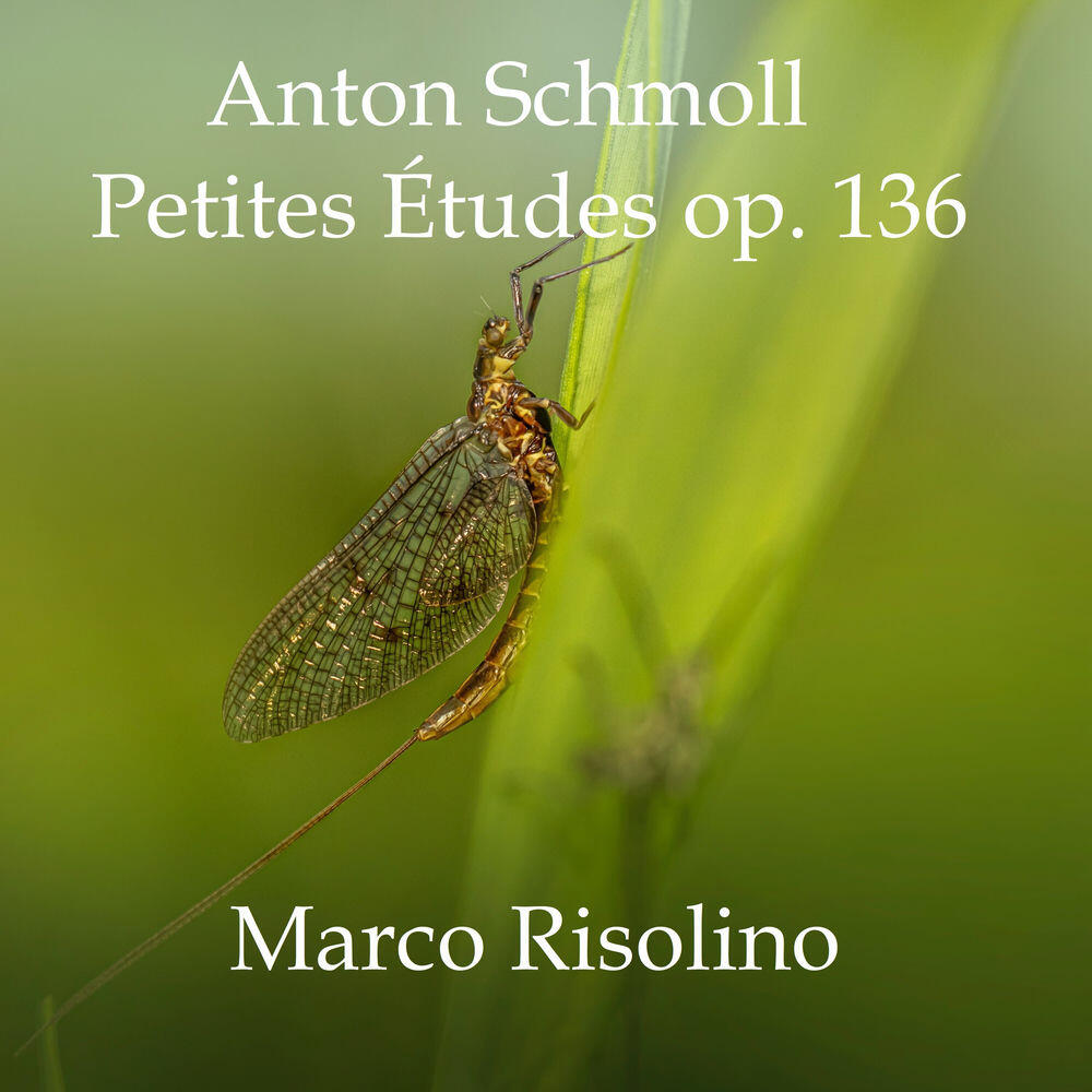 Релиз Petites Études op. 136