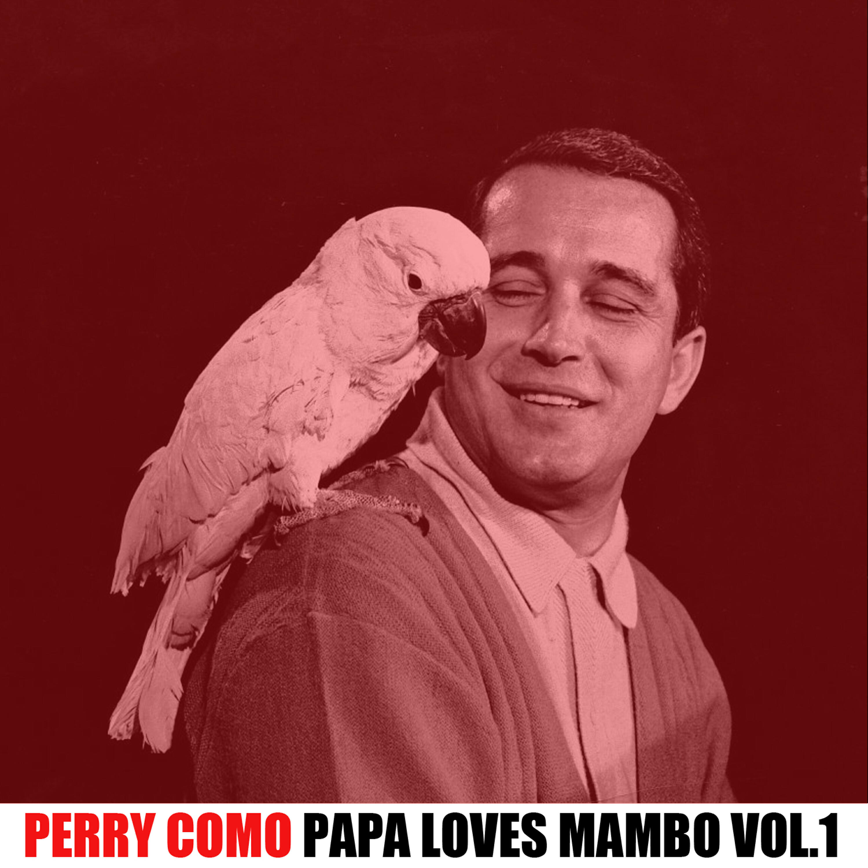 Постер альбома Papa Loves Mambo, Vol. 1