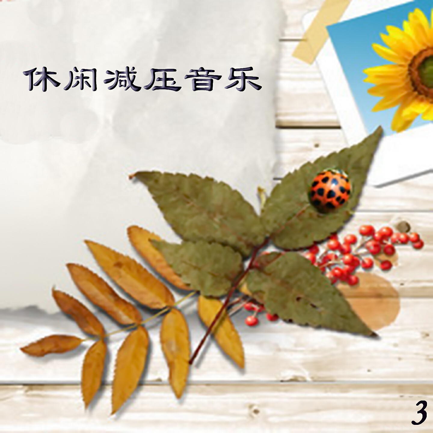 Постер альбома 休闲减压音乐 3