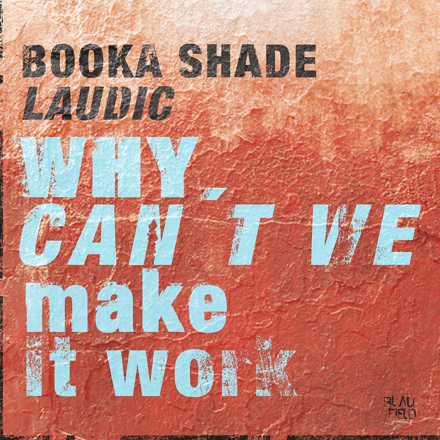 Релиз Why Can't We Make It Work