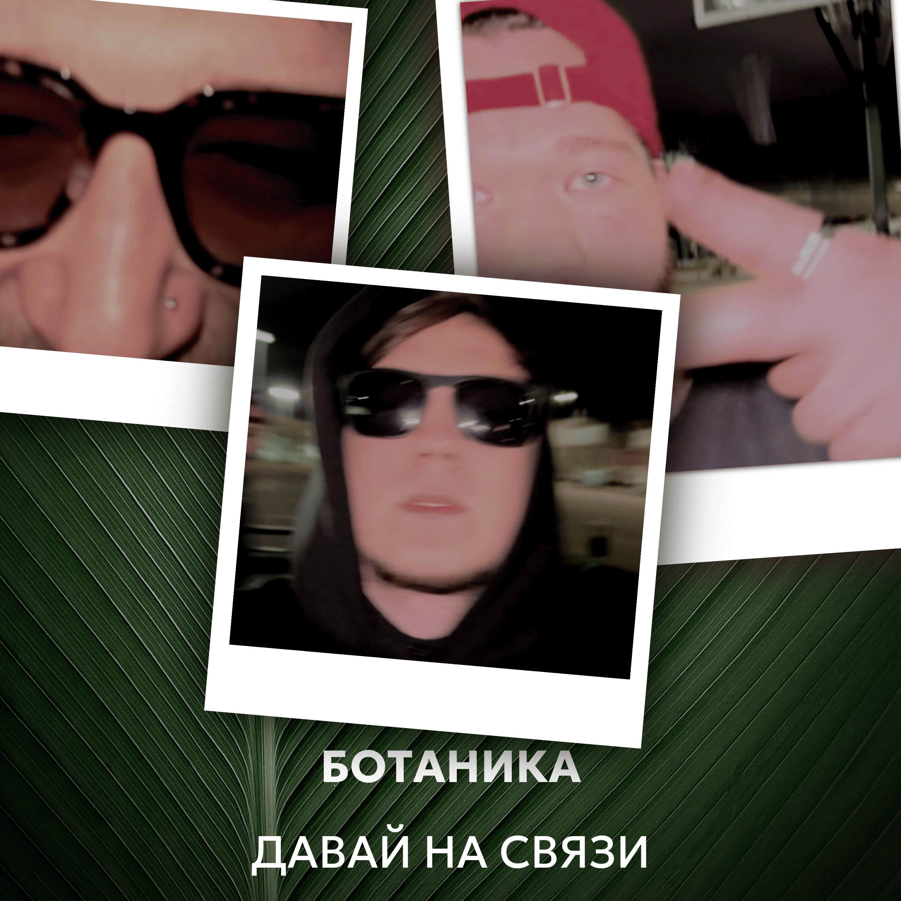 Тэйси