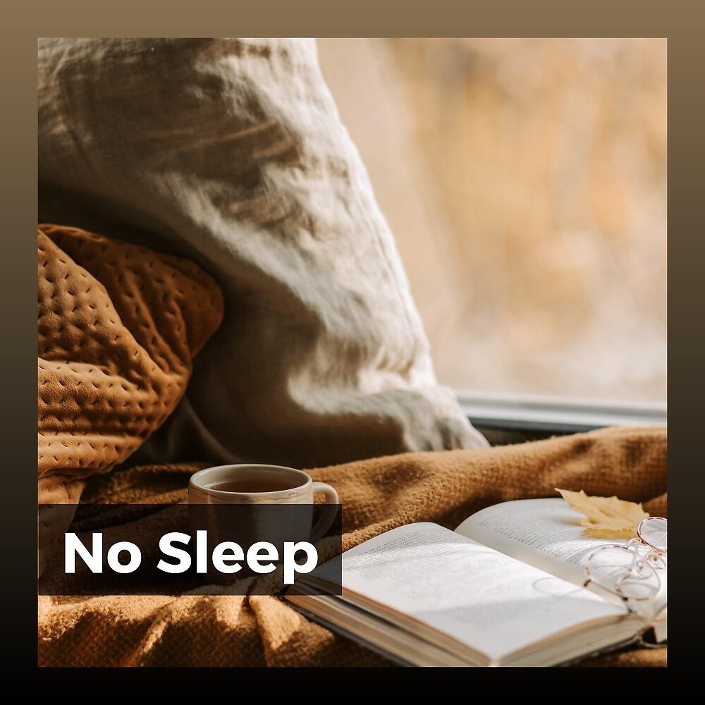 Релиз No Sleep