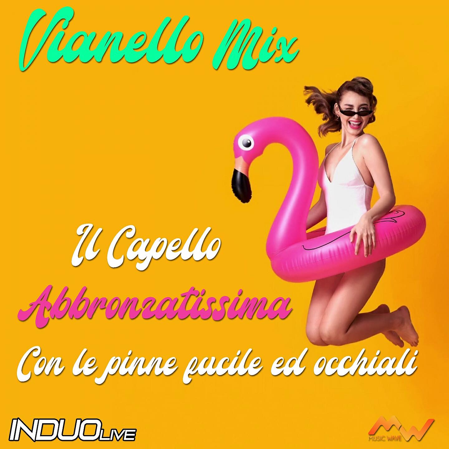 Релиз Il capello / Abbronzatissima / Con le pinne fucile ed occhiali / Vianello Mix