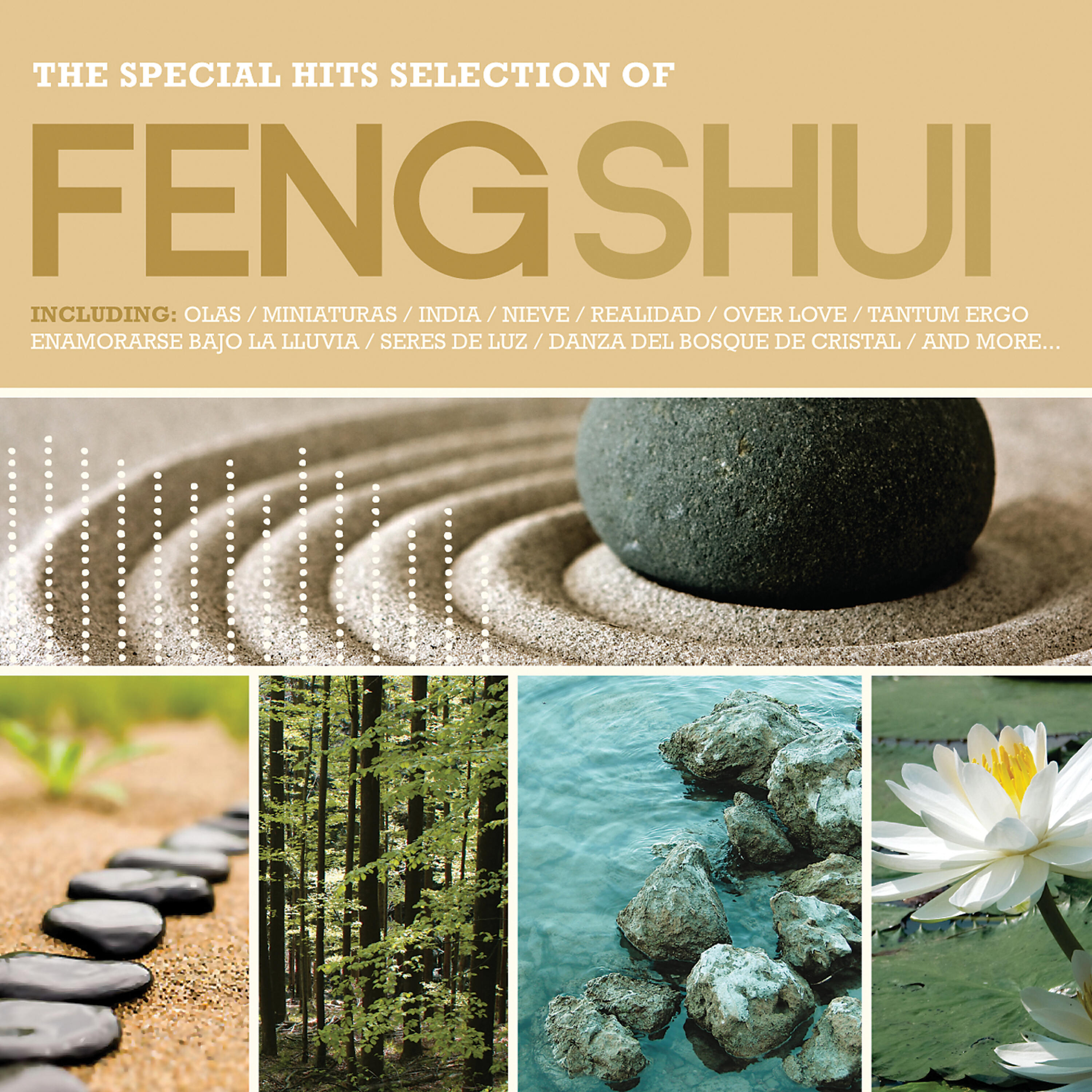 Релиз Feng Shui: The Special Hits Selection