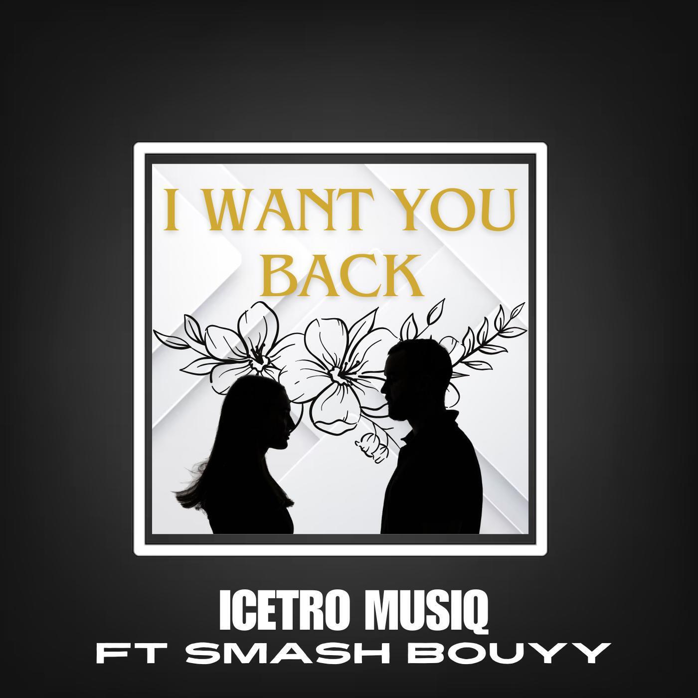 ICETRO MUSIQ