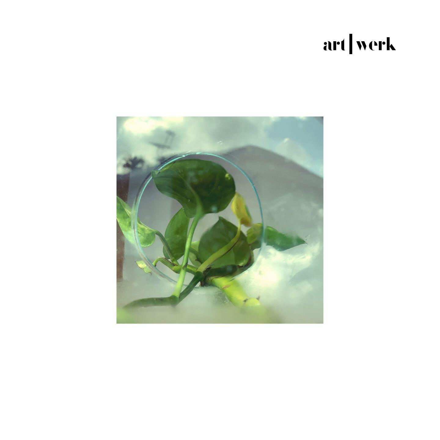 Релиз tears turn black