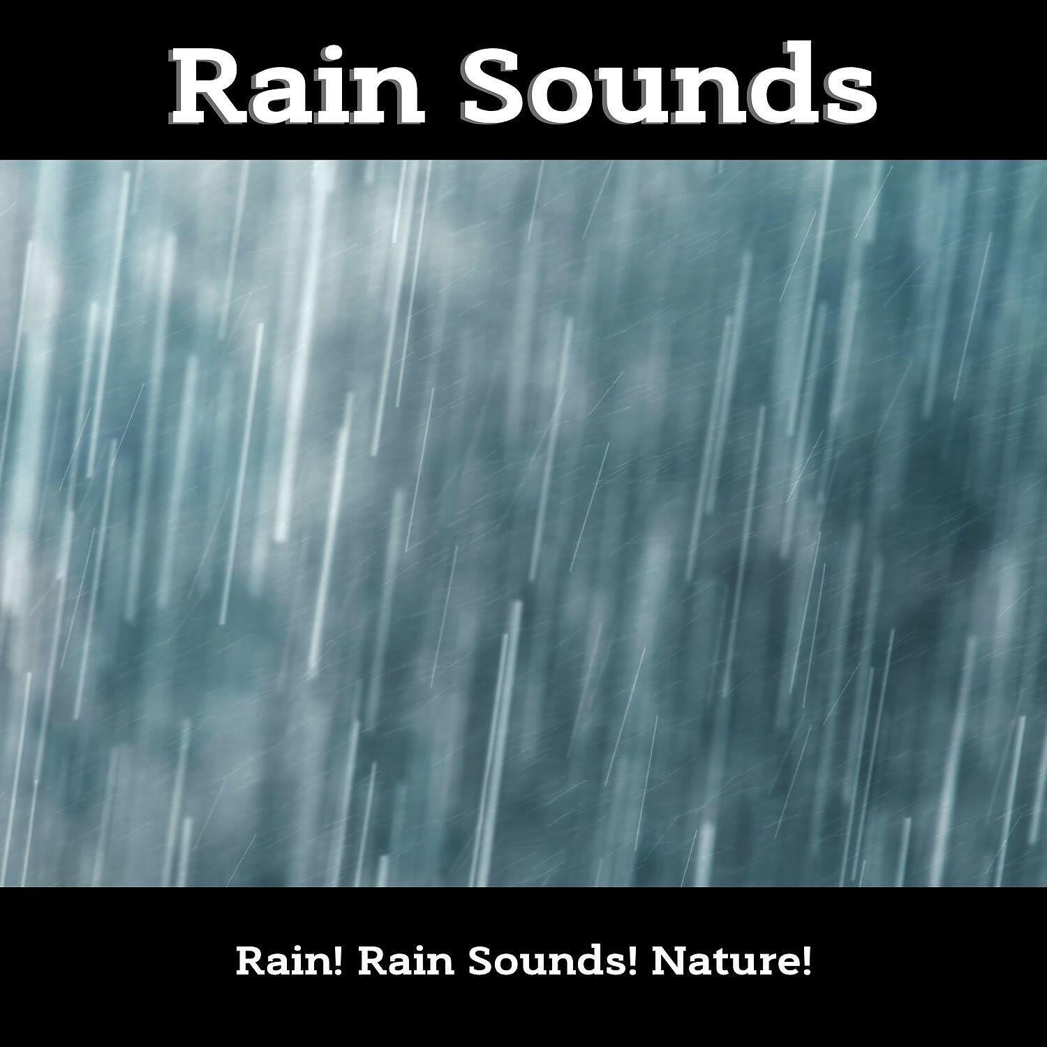 Релиз Rain Sounds