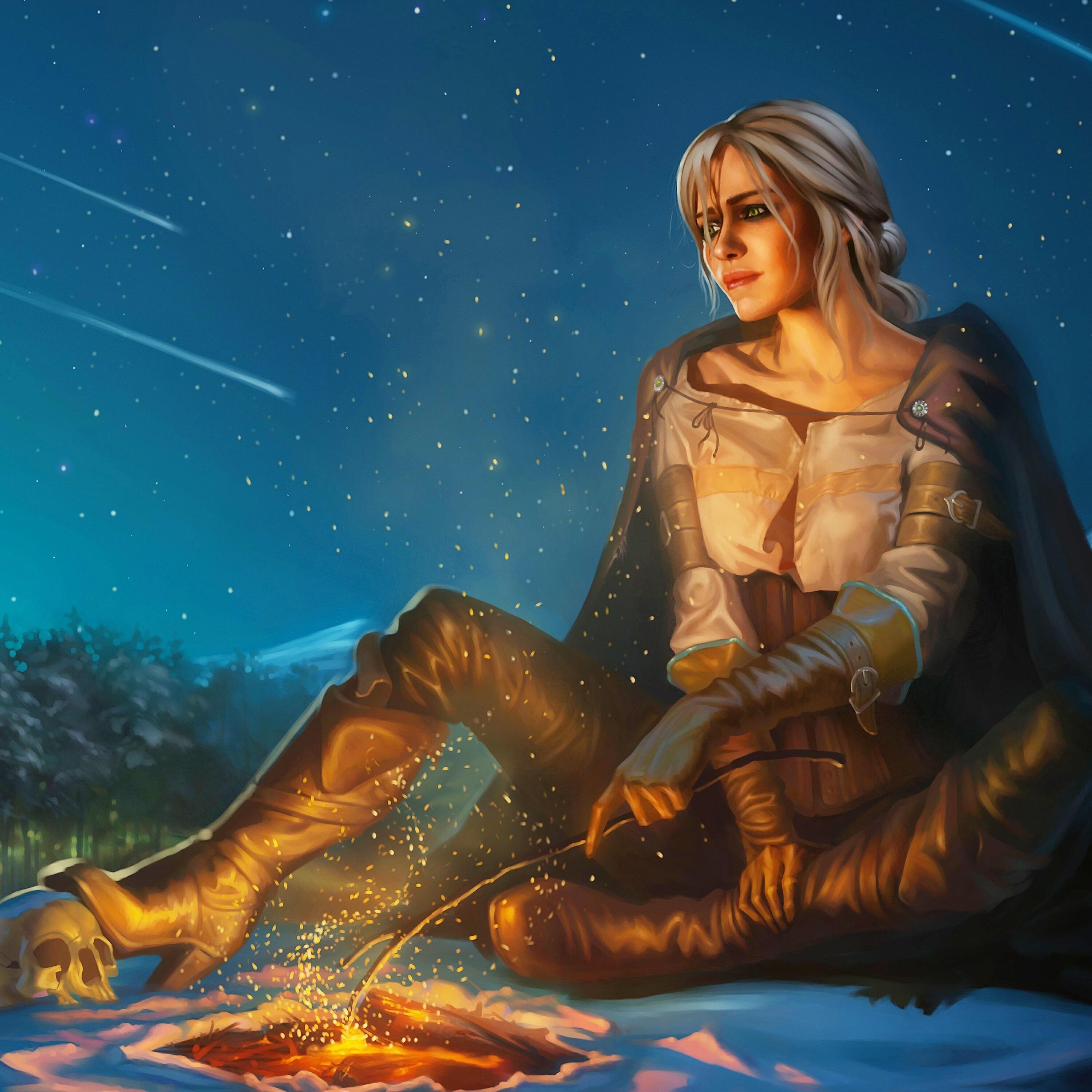 Релиз Toss a Coin to Your Witcher