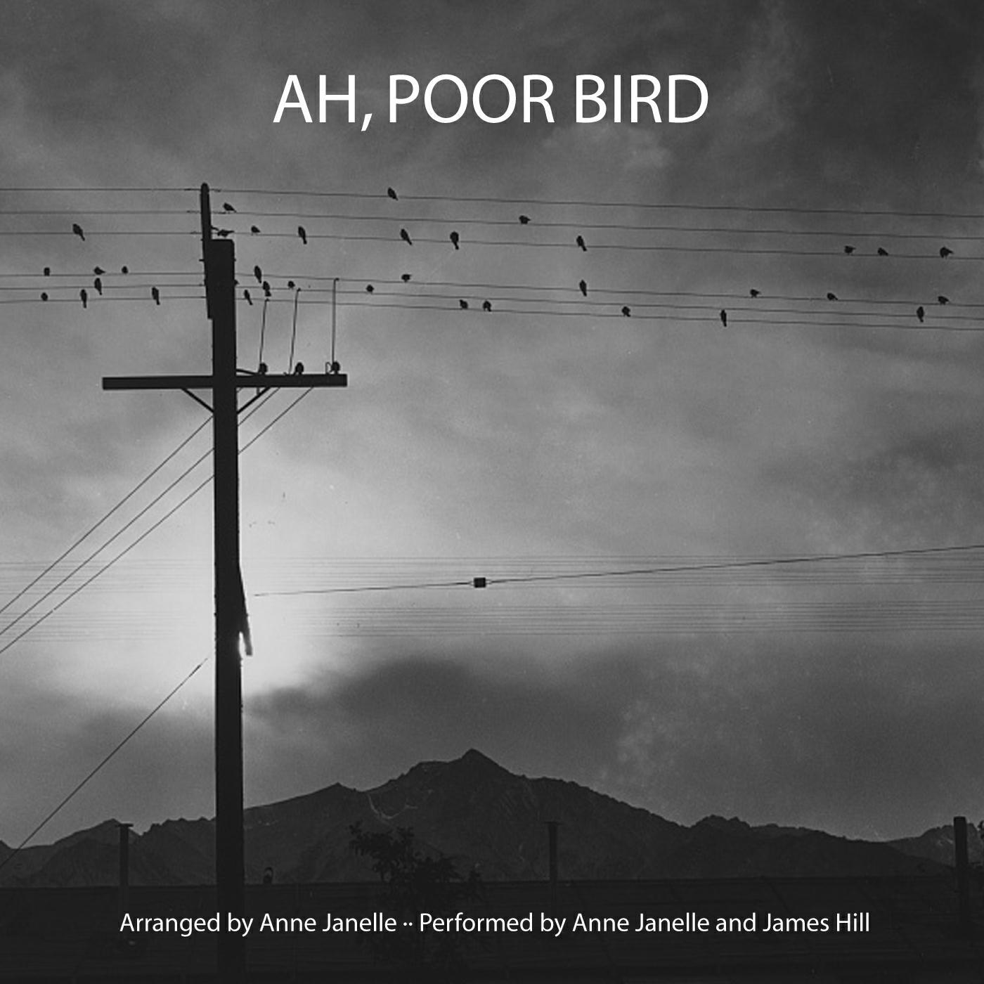 Релиз Ah, Poor Bird