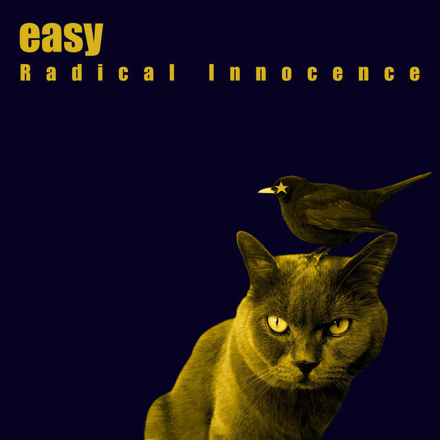 Релиз Radical Innocence