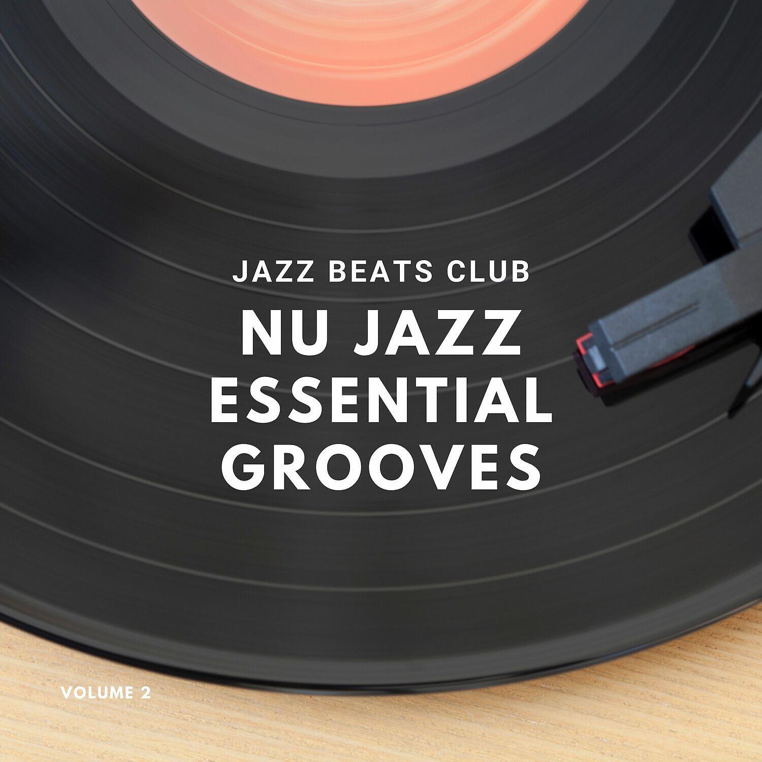 Релиз Nu Jazz Essential Grooves Volume 2