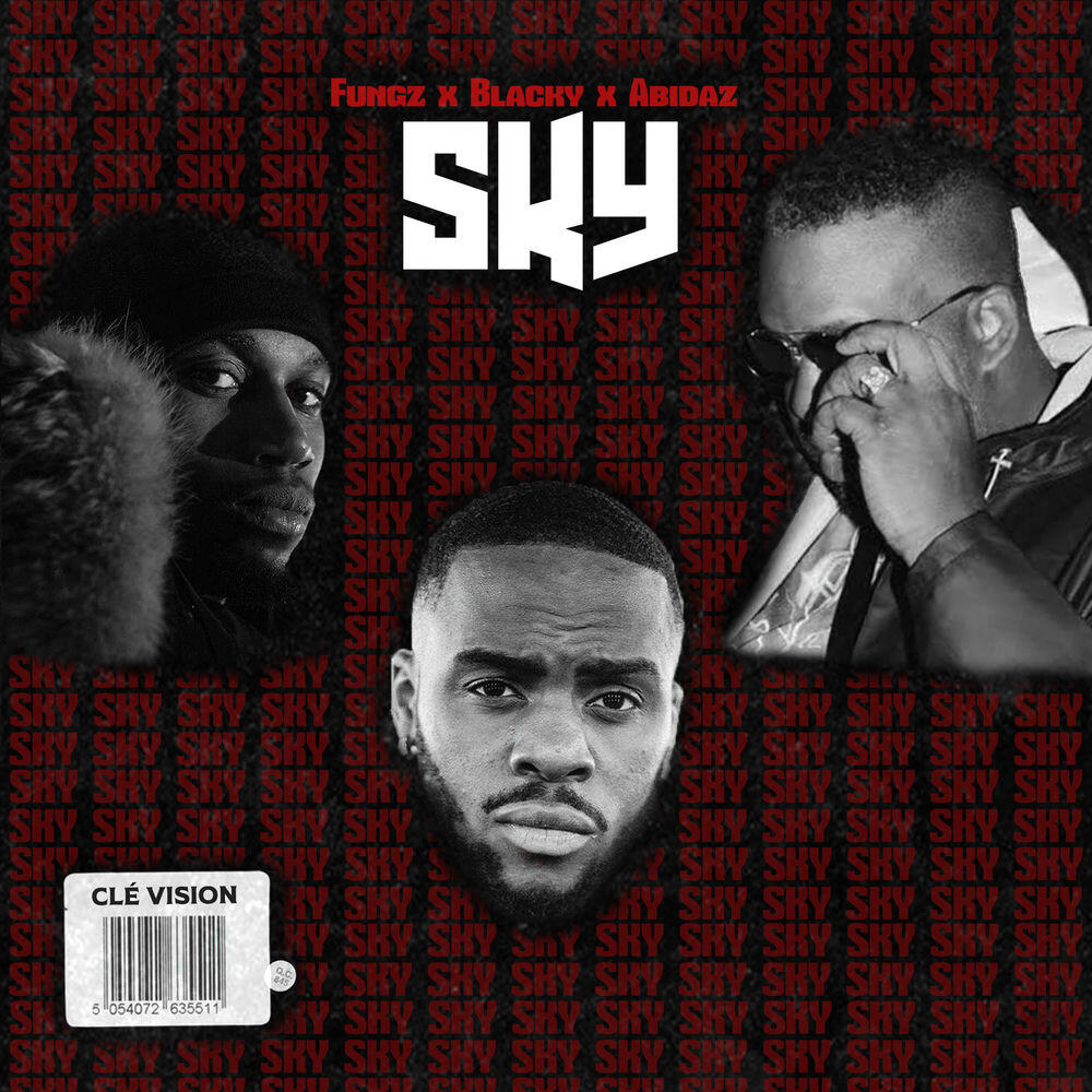 Релиз SKY