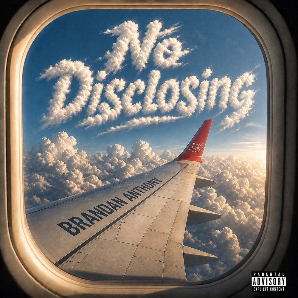 Релиз No Disclosing