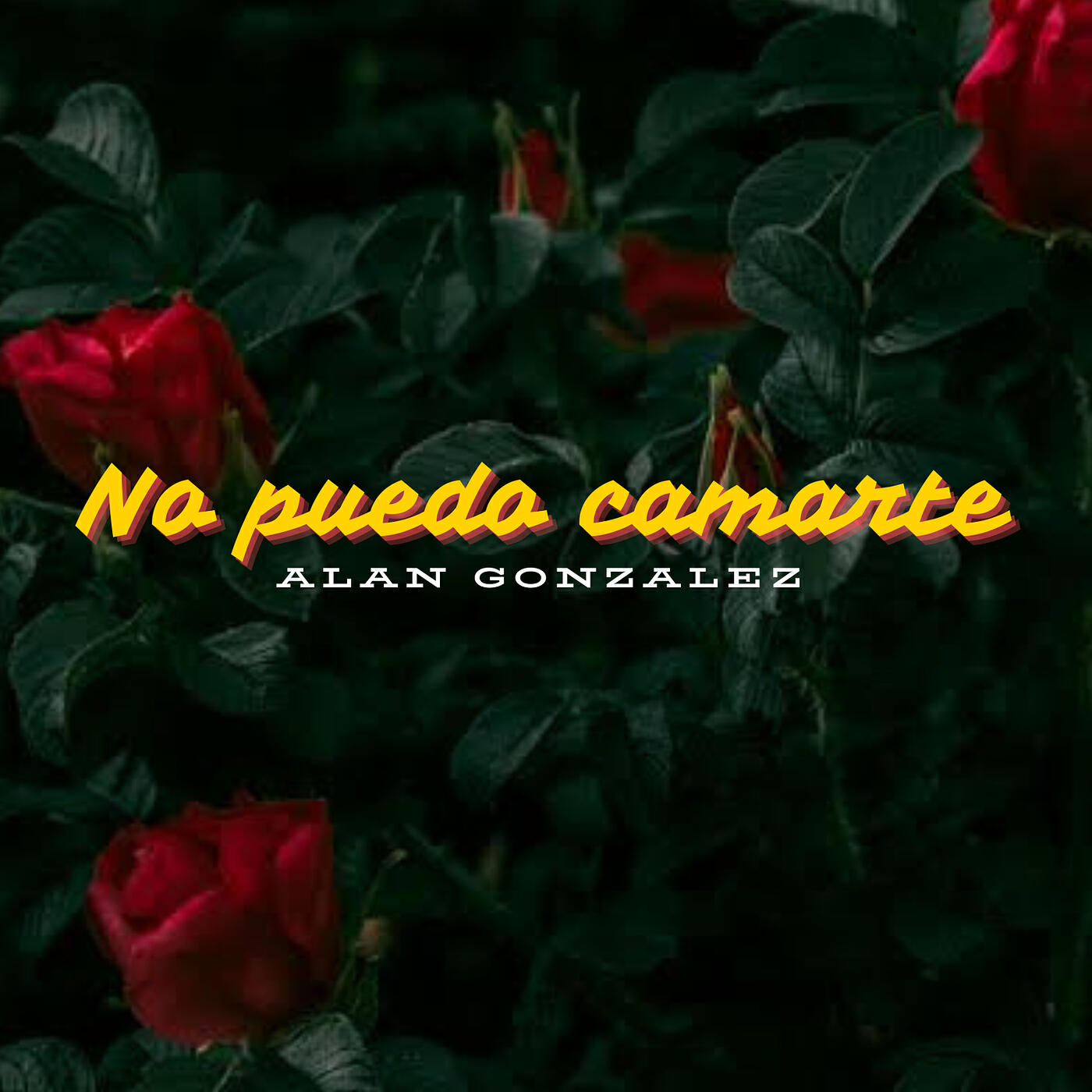 Релиз No Te Puedo Cabiarte