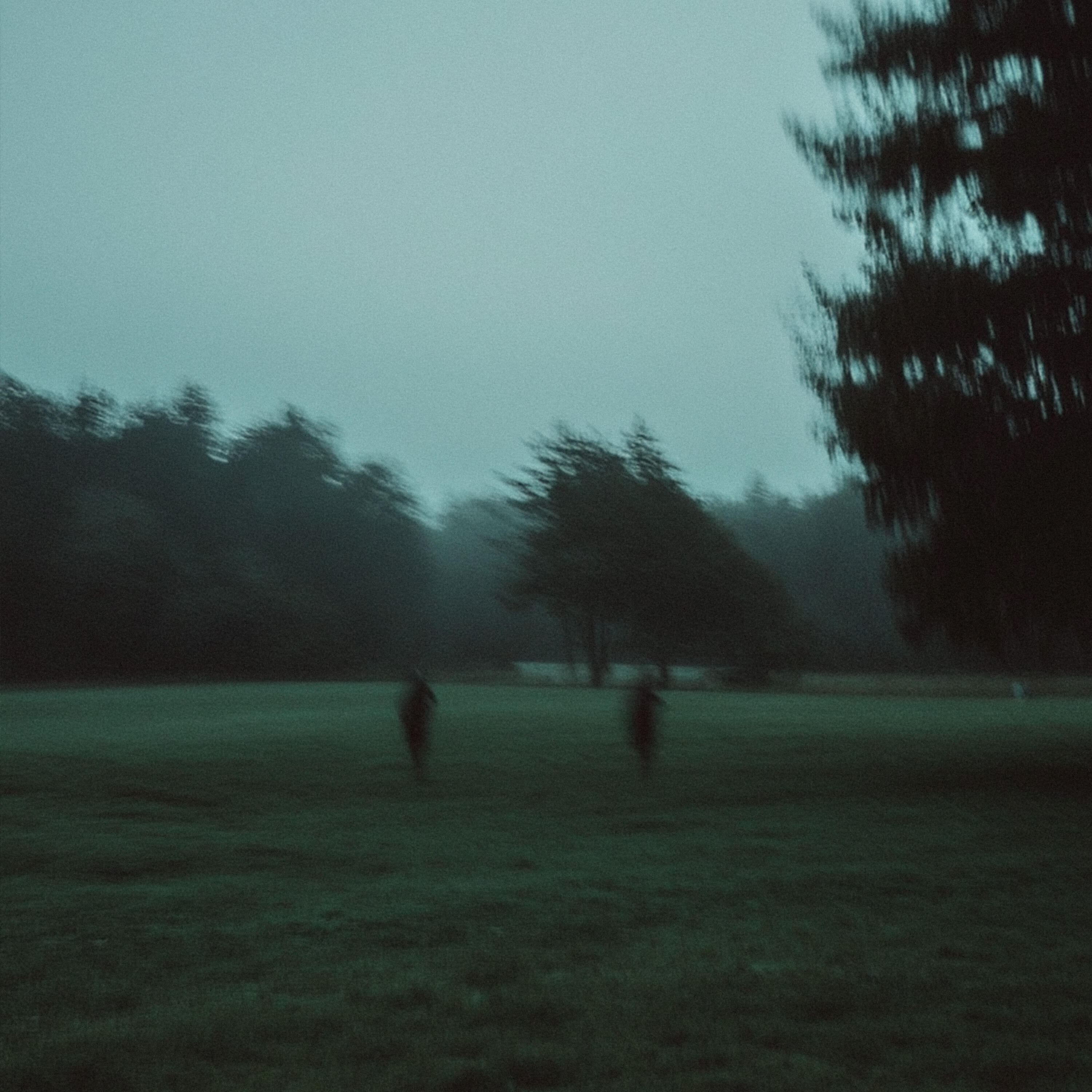 Релиз wish i could tell you