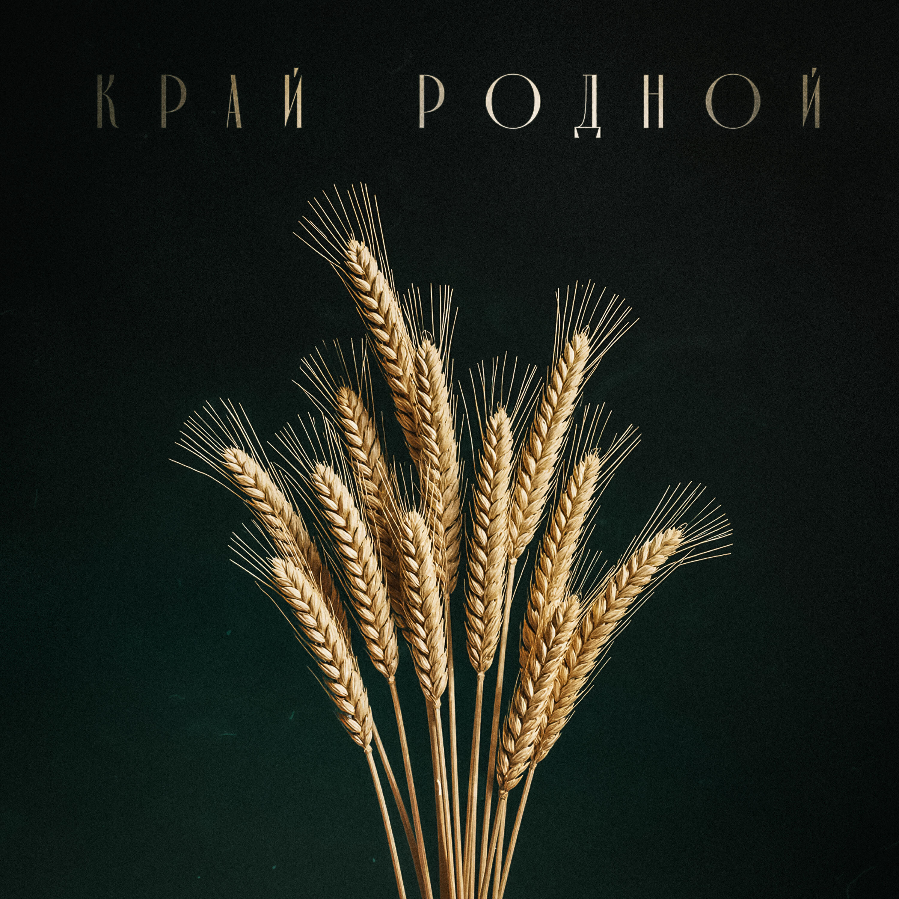 Постер альбома Край родной