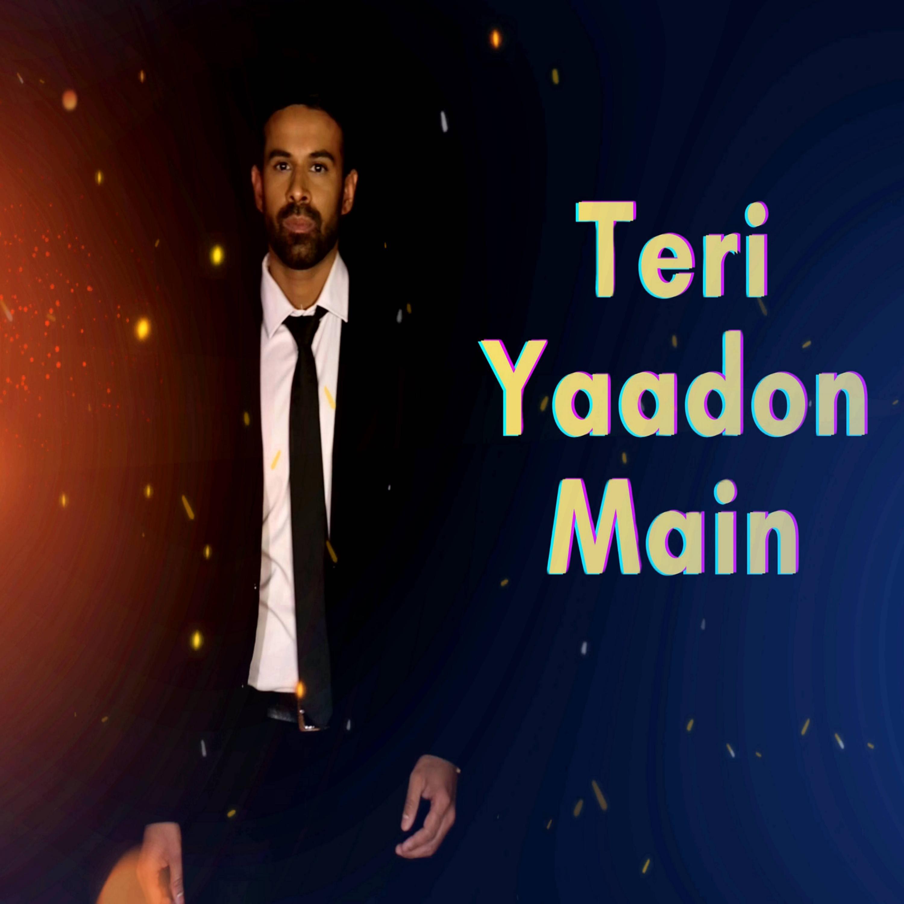 Релиз Teri Yaadon Main
