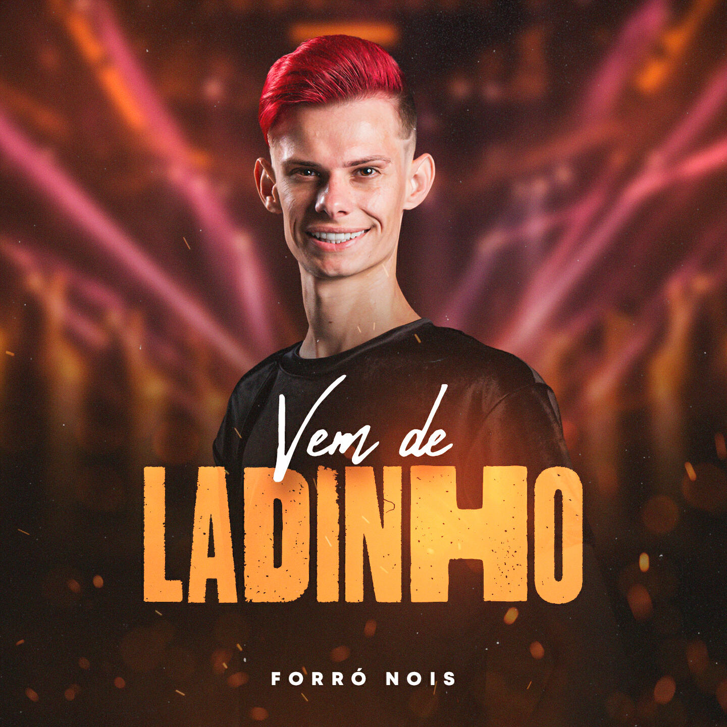 Релиз Vem de Ladinho