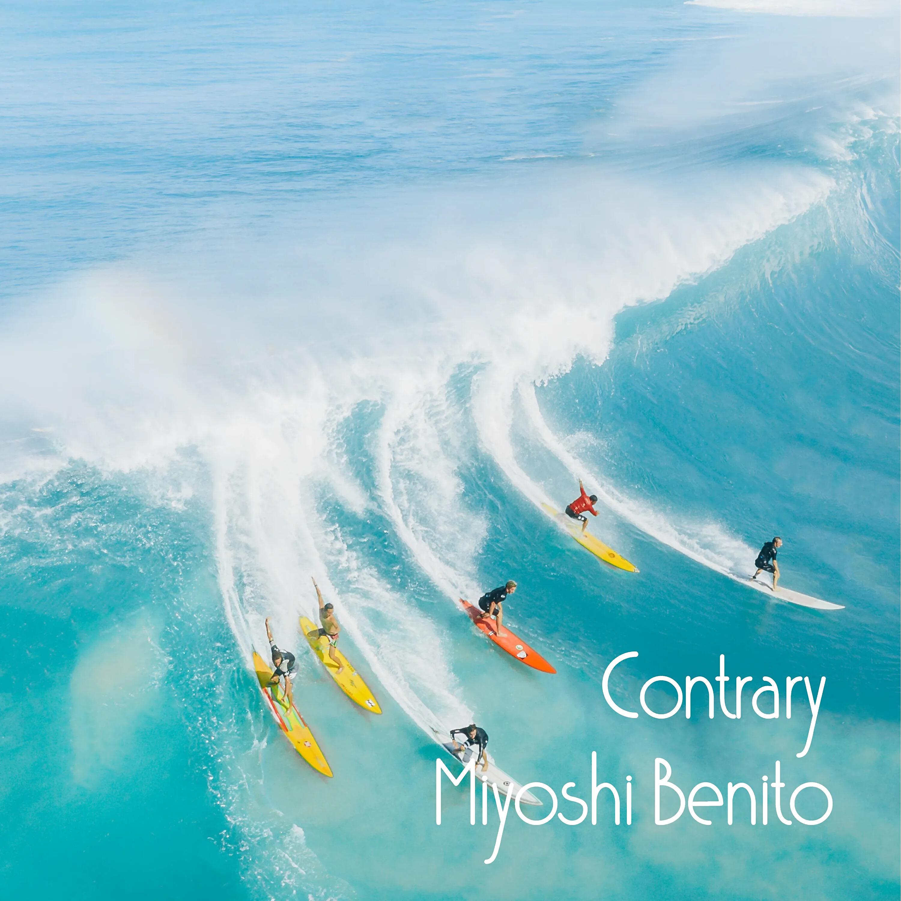 Постер альбома Contrary
