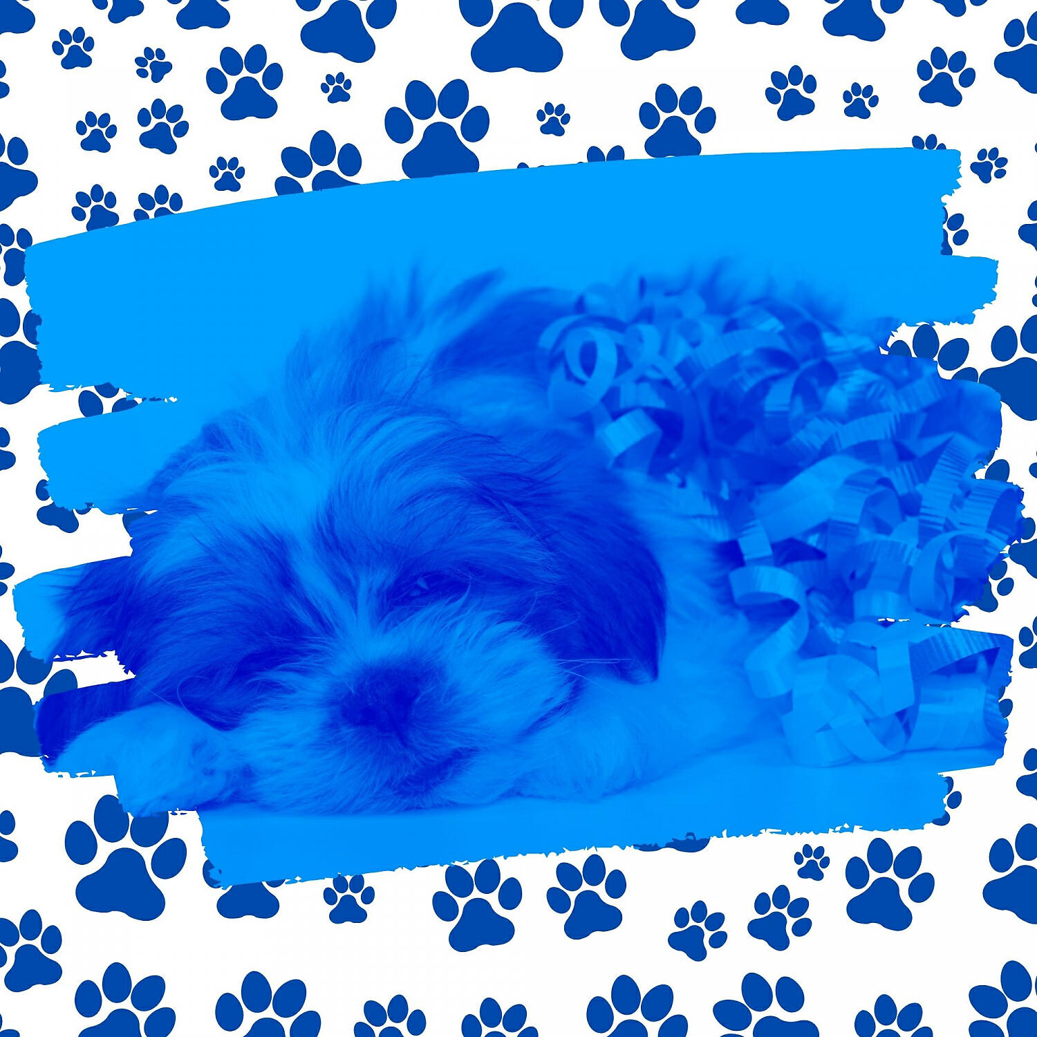 Релиз Backdrop for Relaxing Your Dog - Subdued Easy Listening