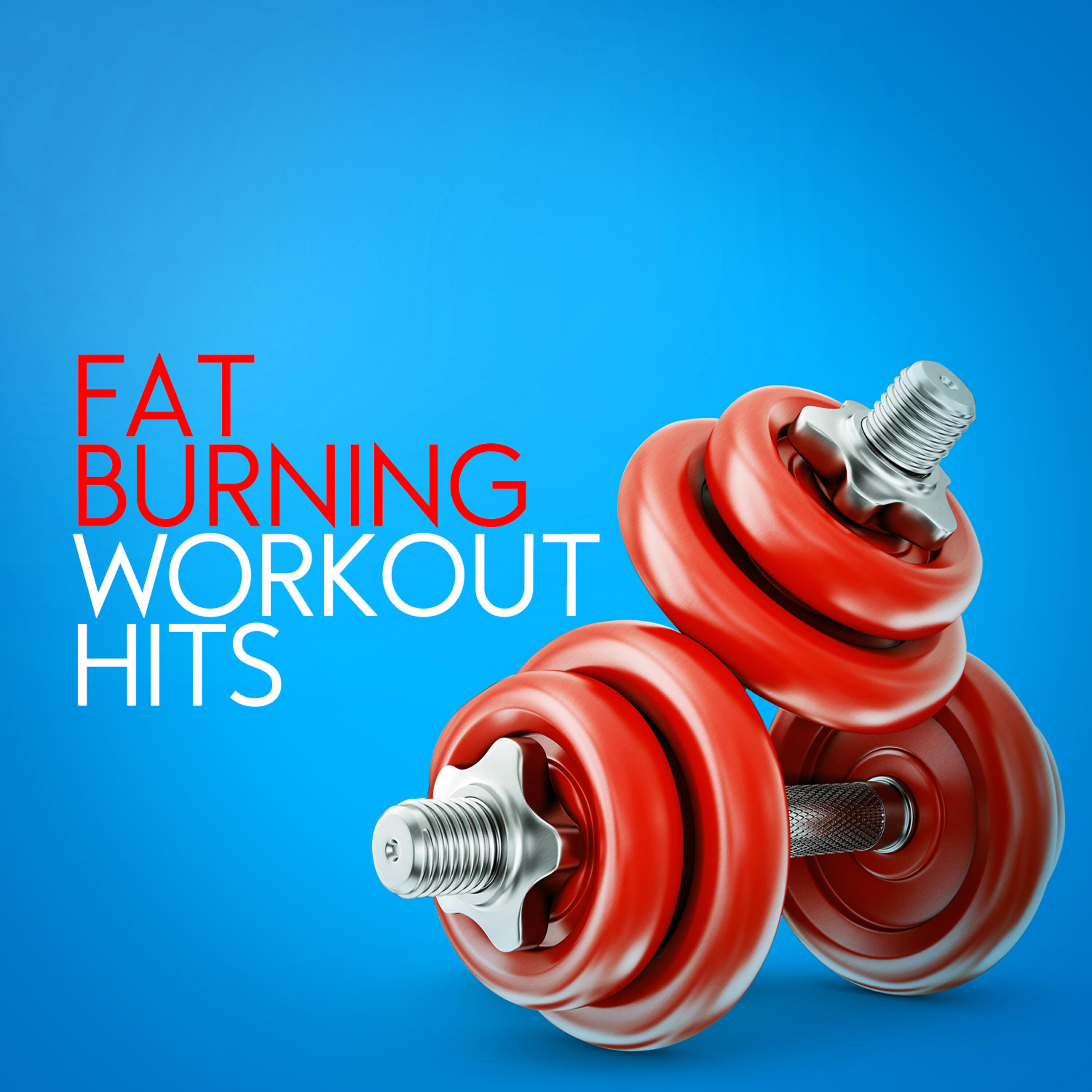 Постер альбома Fat Burning Workout Hits