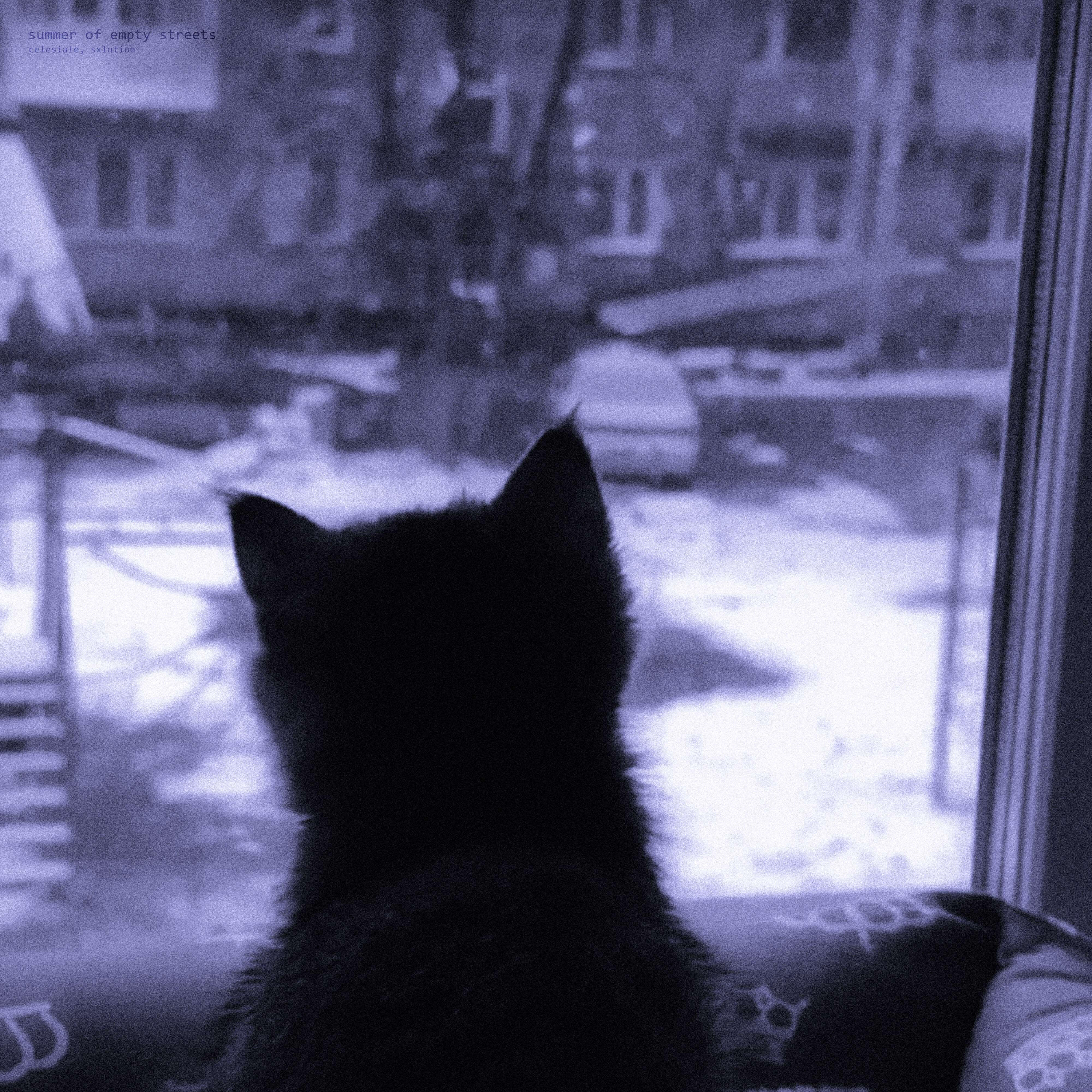 Релиз summer of empty streets