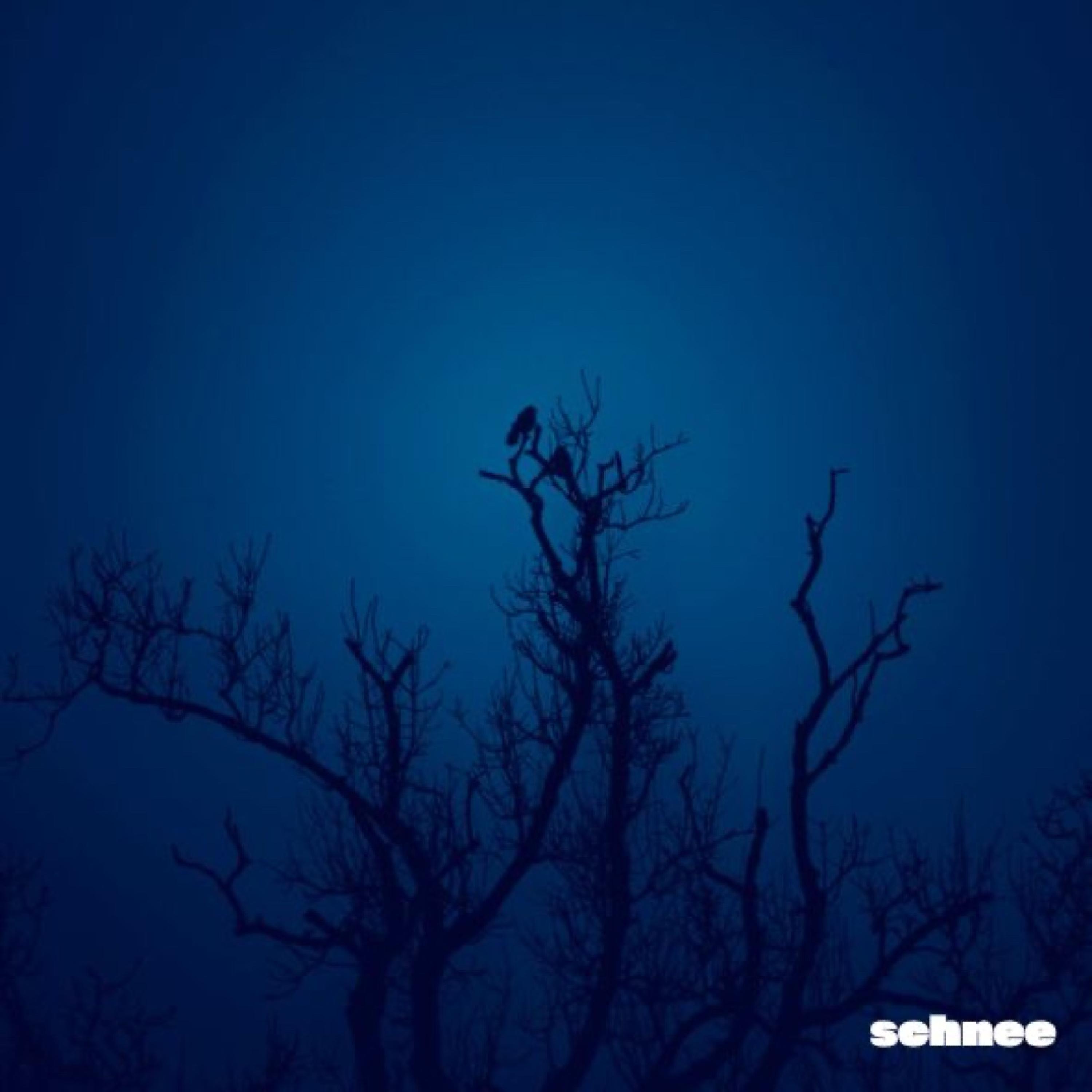 Релиз Hummingbird
