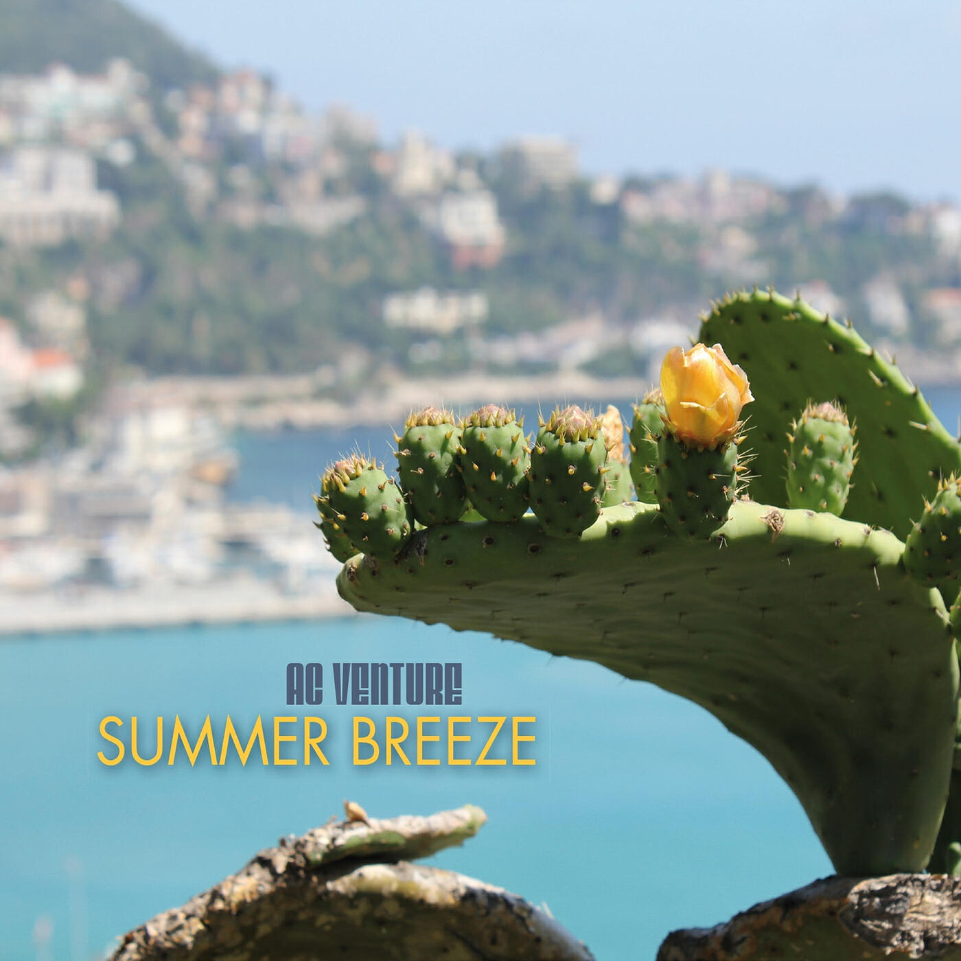 Релиз Summer Breeze