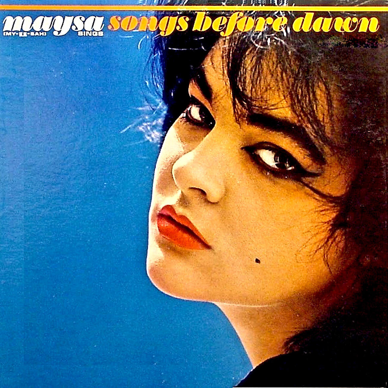 Постер альбома Sings Songs Before Dawn