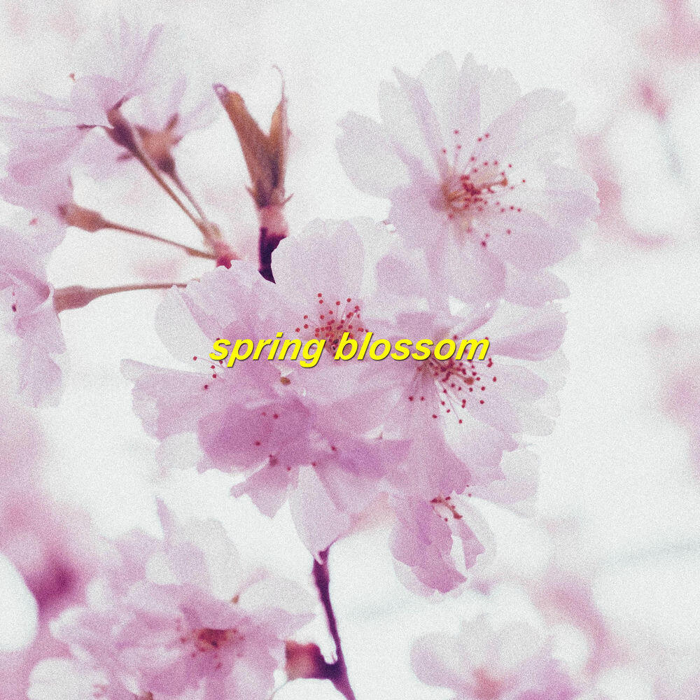 Релиз Spring Blossom