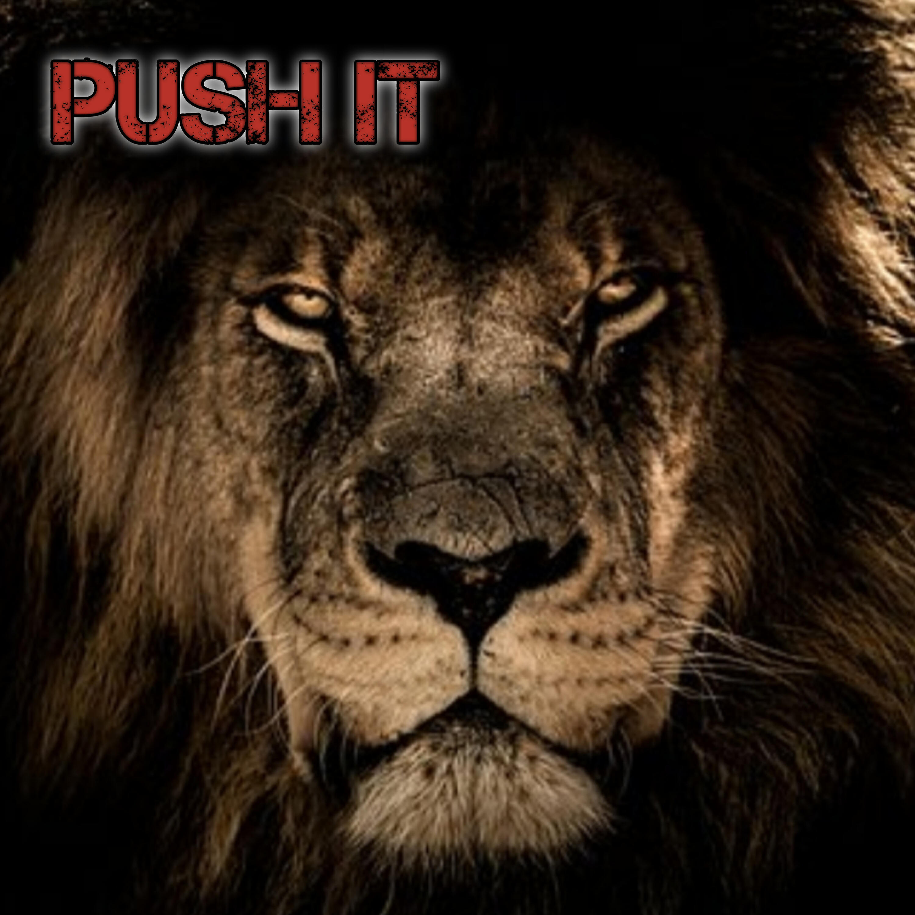 Релиз Push It