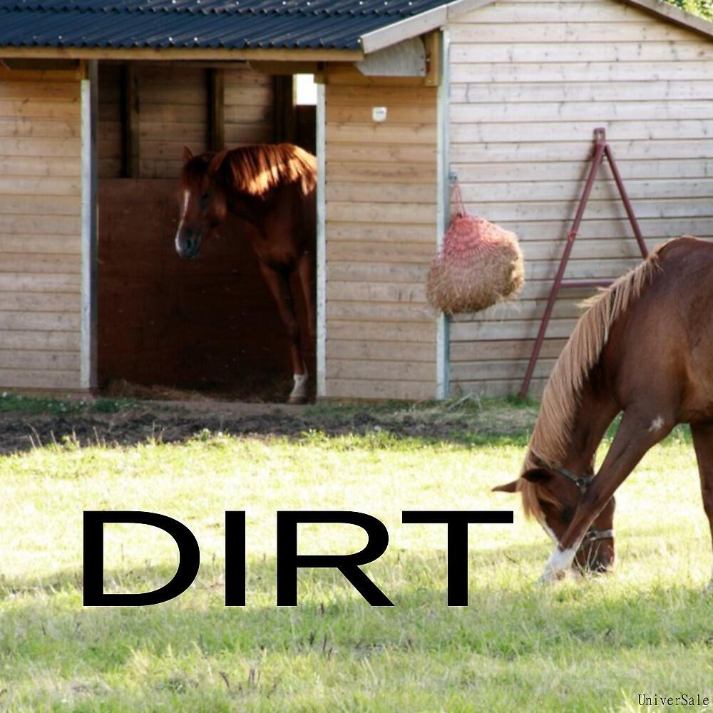 Релиз Dirt