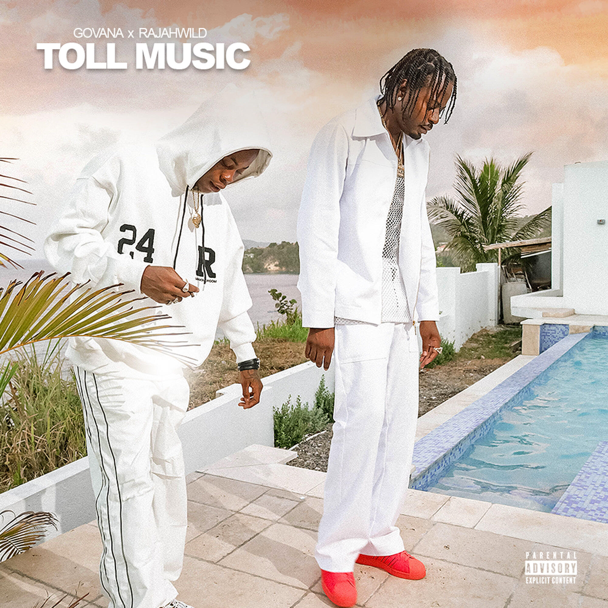 Релиз Toll Music (with RajahWild)