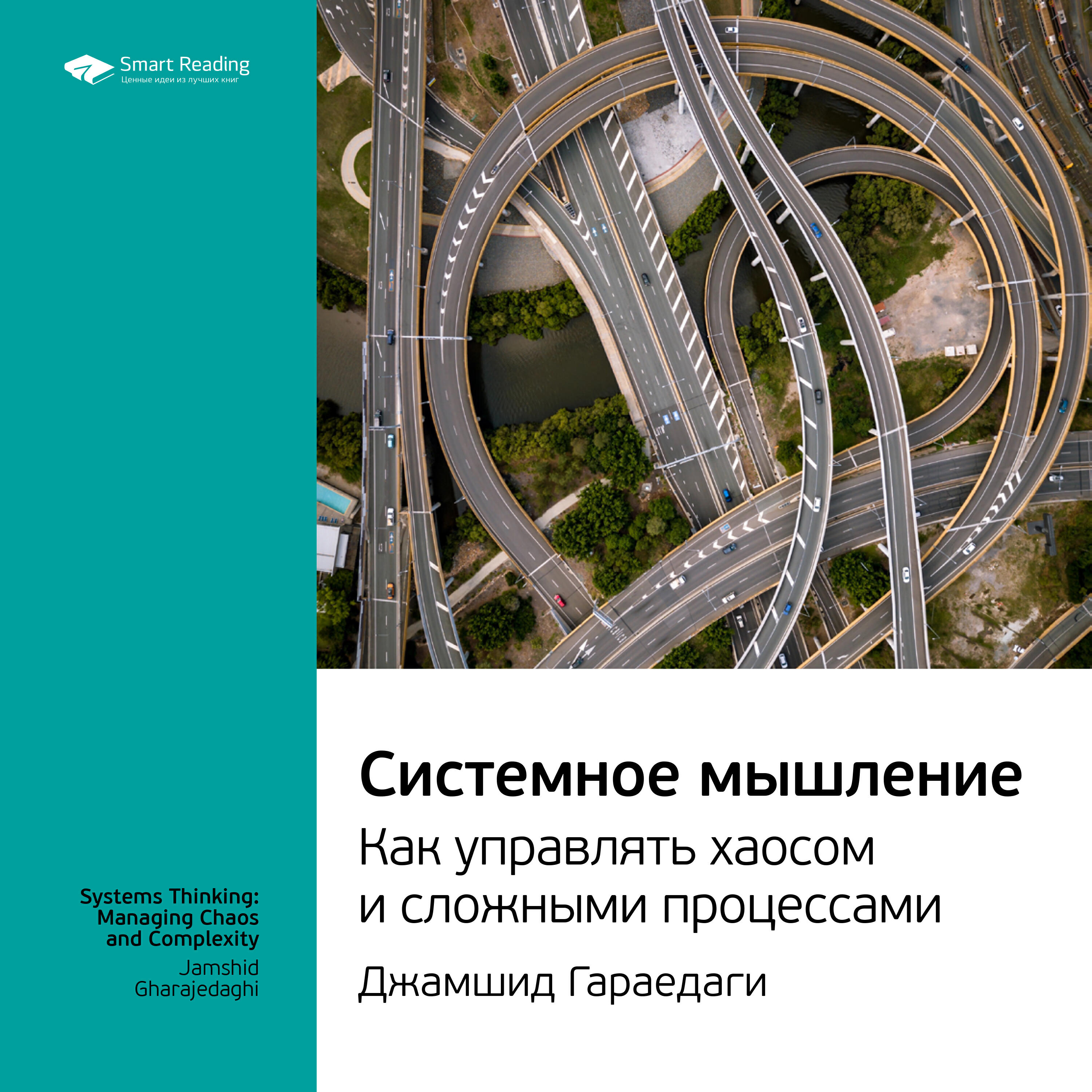 Книга Системное мышление. Как управлять хаосом и сложными процессами. Джамшид Гараедаги. Ключевые идеи книги
