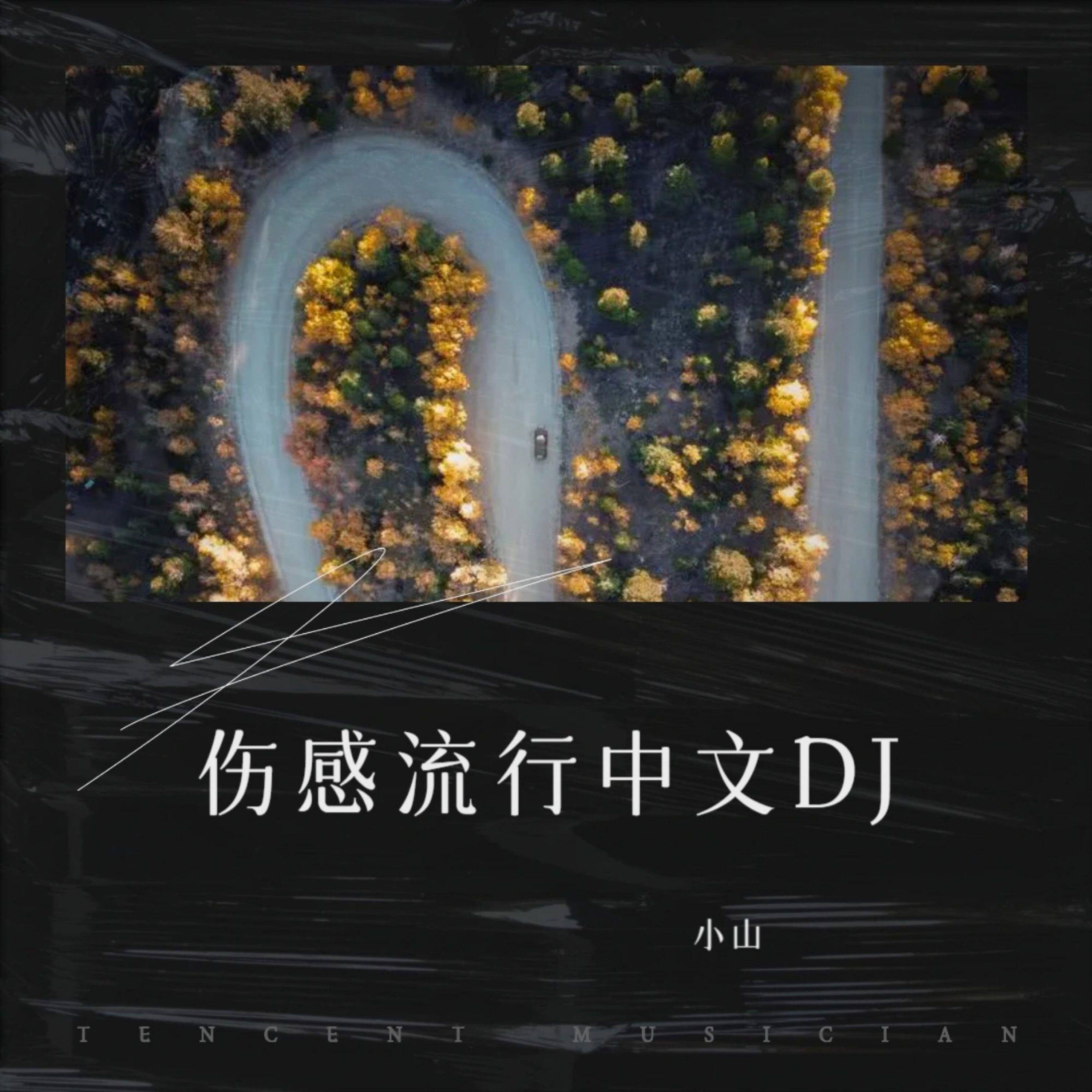 Релиз 伤感流行中文DJ