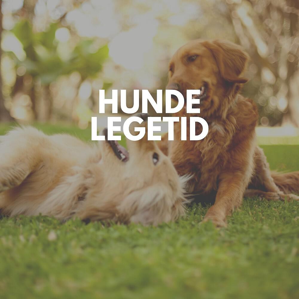 Релиз Hunde legetid