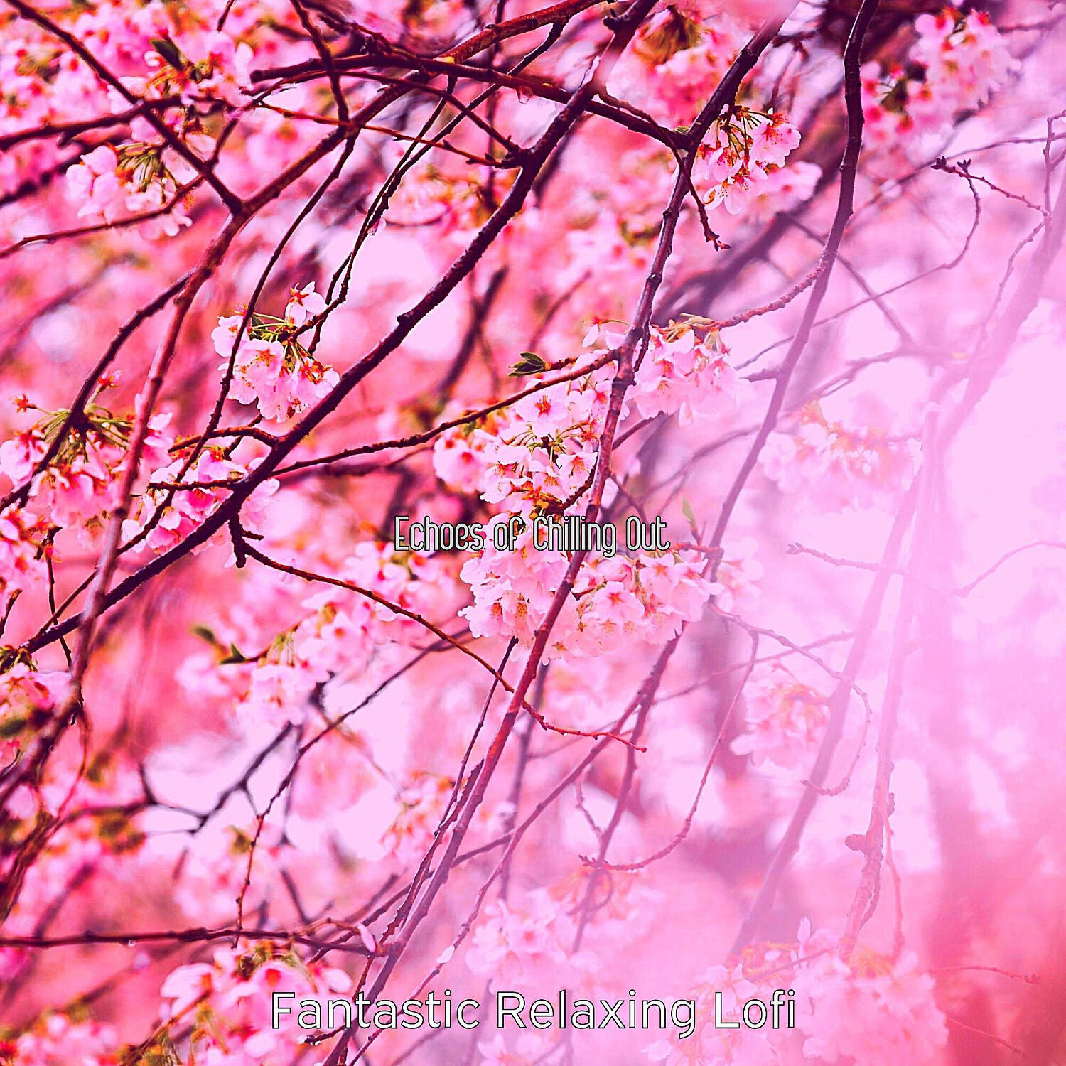 Релиз Echoes of Chilling Out