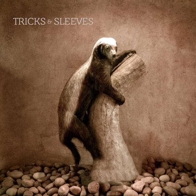 Релиз Tricks & Sleeves