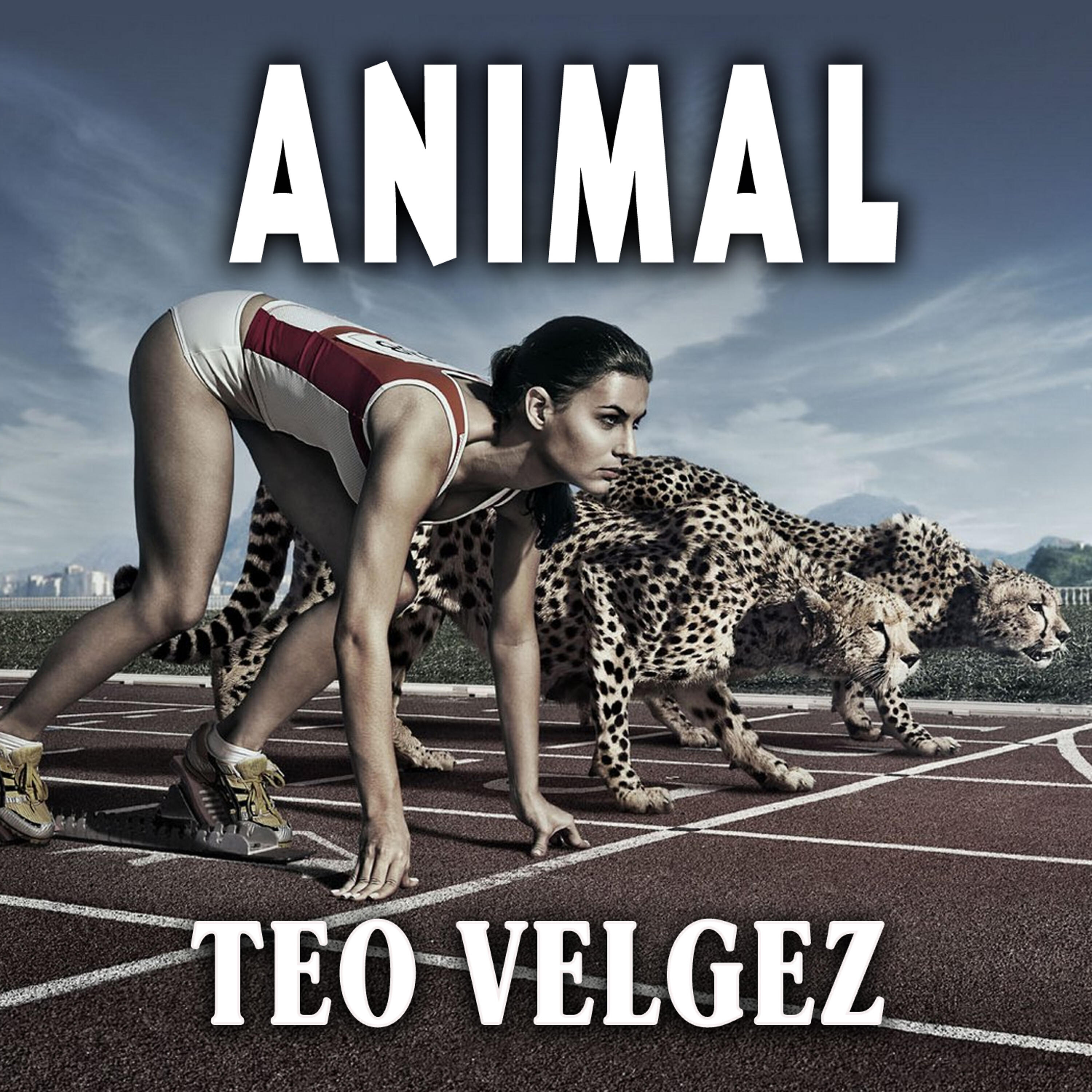 Релиз Animal