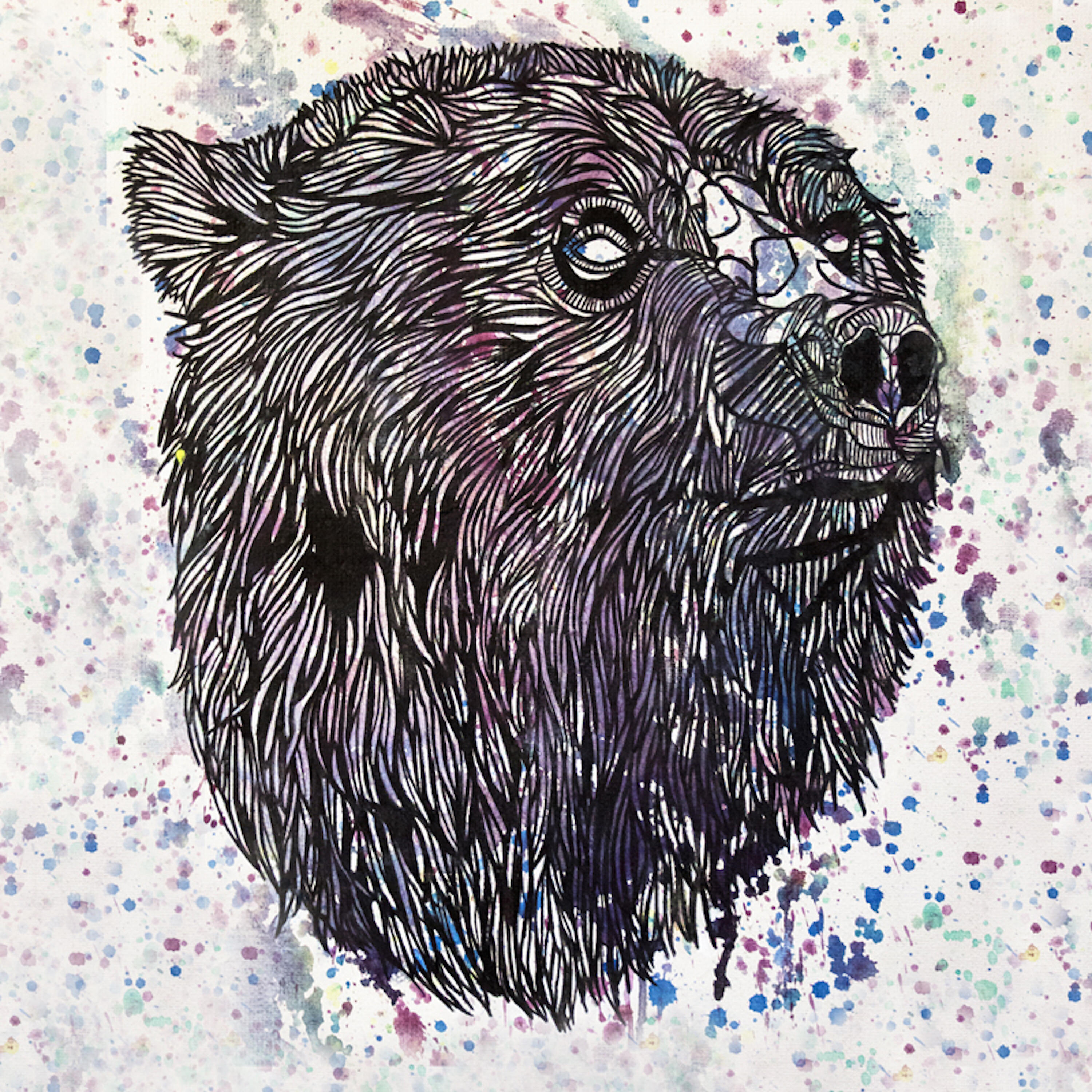 Релиз Vari Chromo