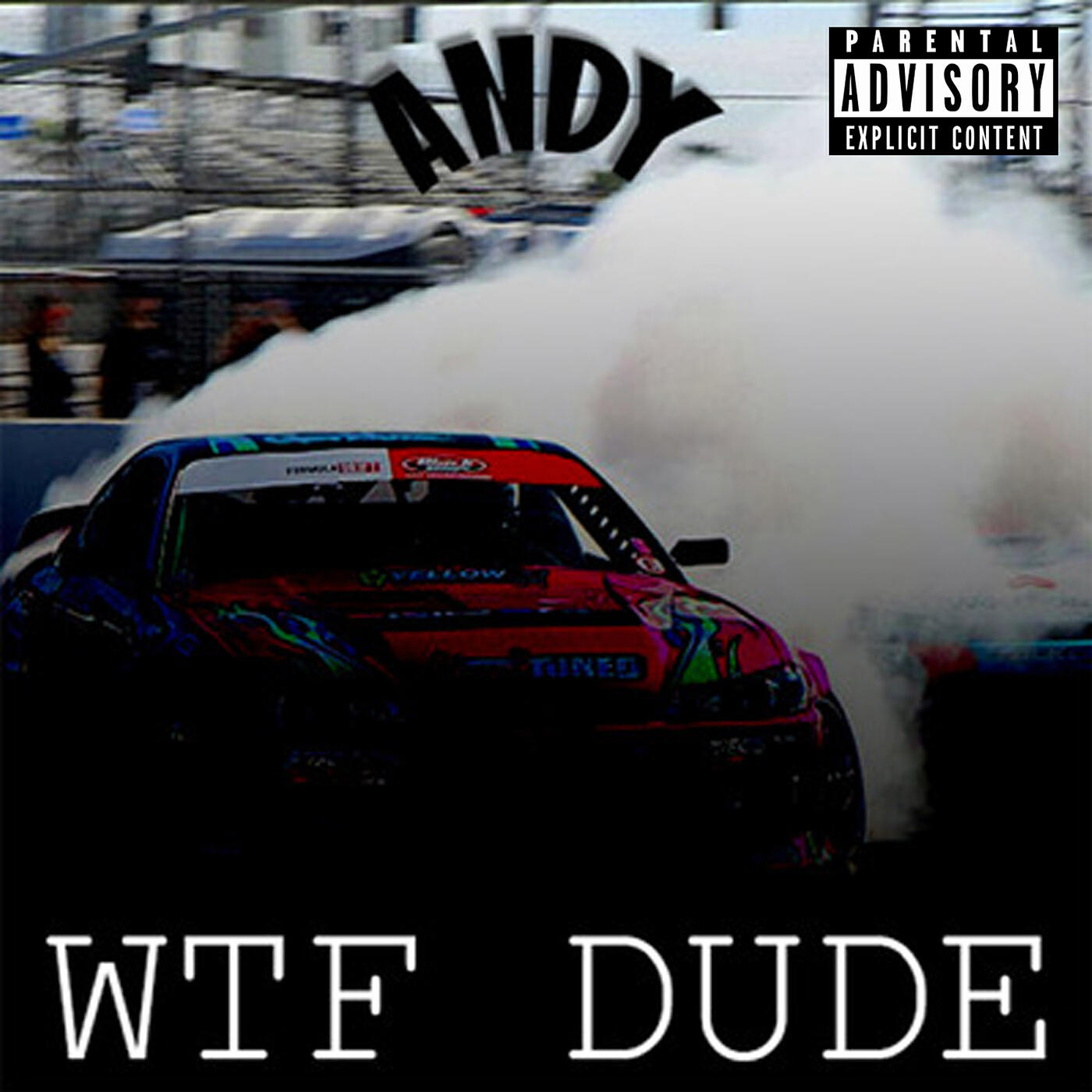 Постер альбома Wtf Dude