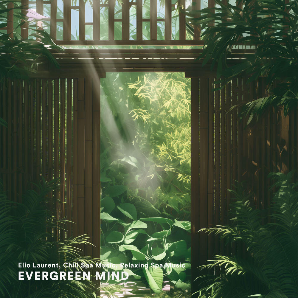 Релиз Evergreen Mind