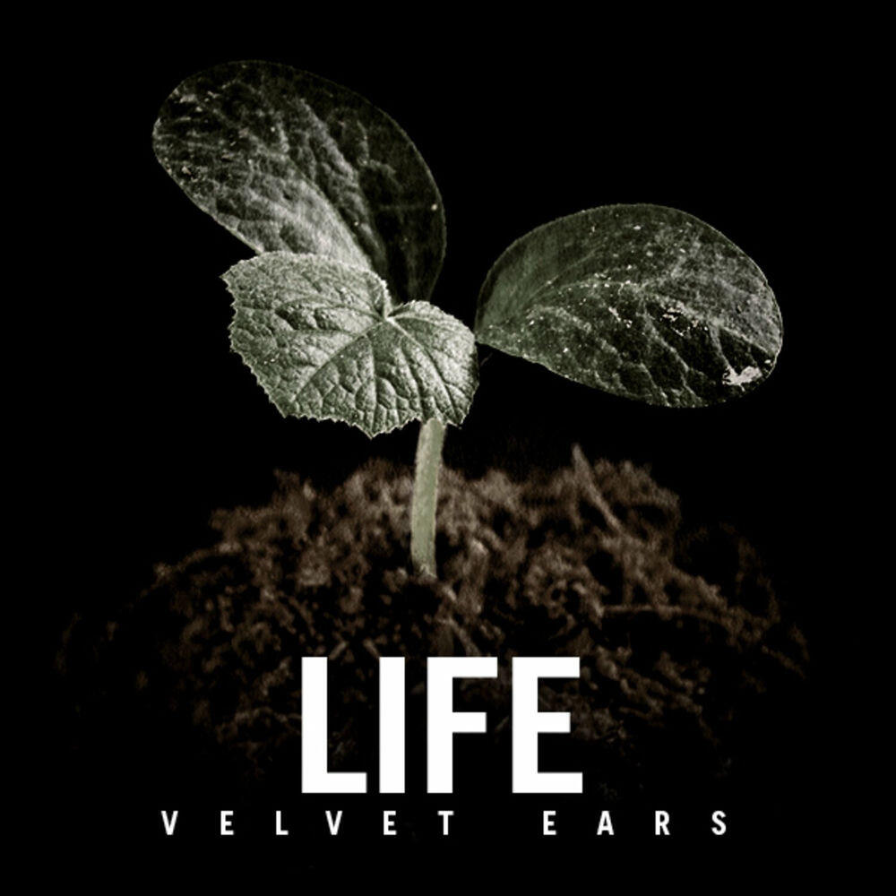 Релиз Velvet Ears: Life