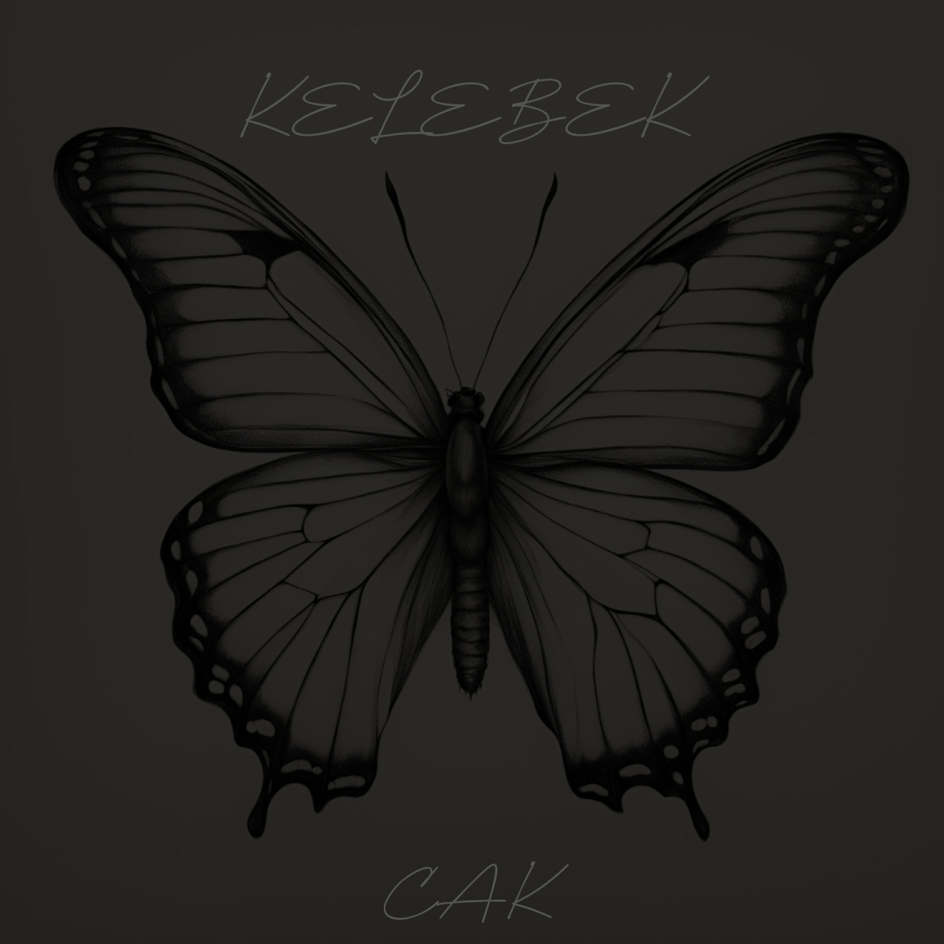 Релиз Kelebek
