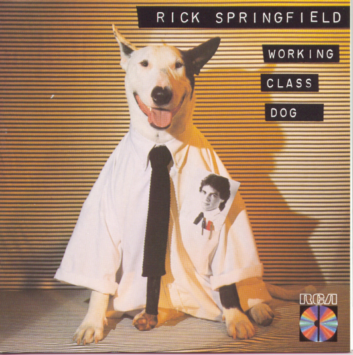 Релиз Working Class Dog